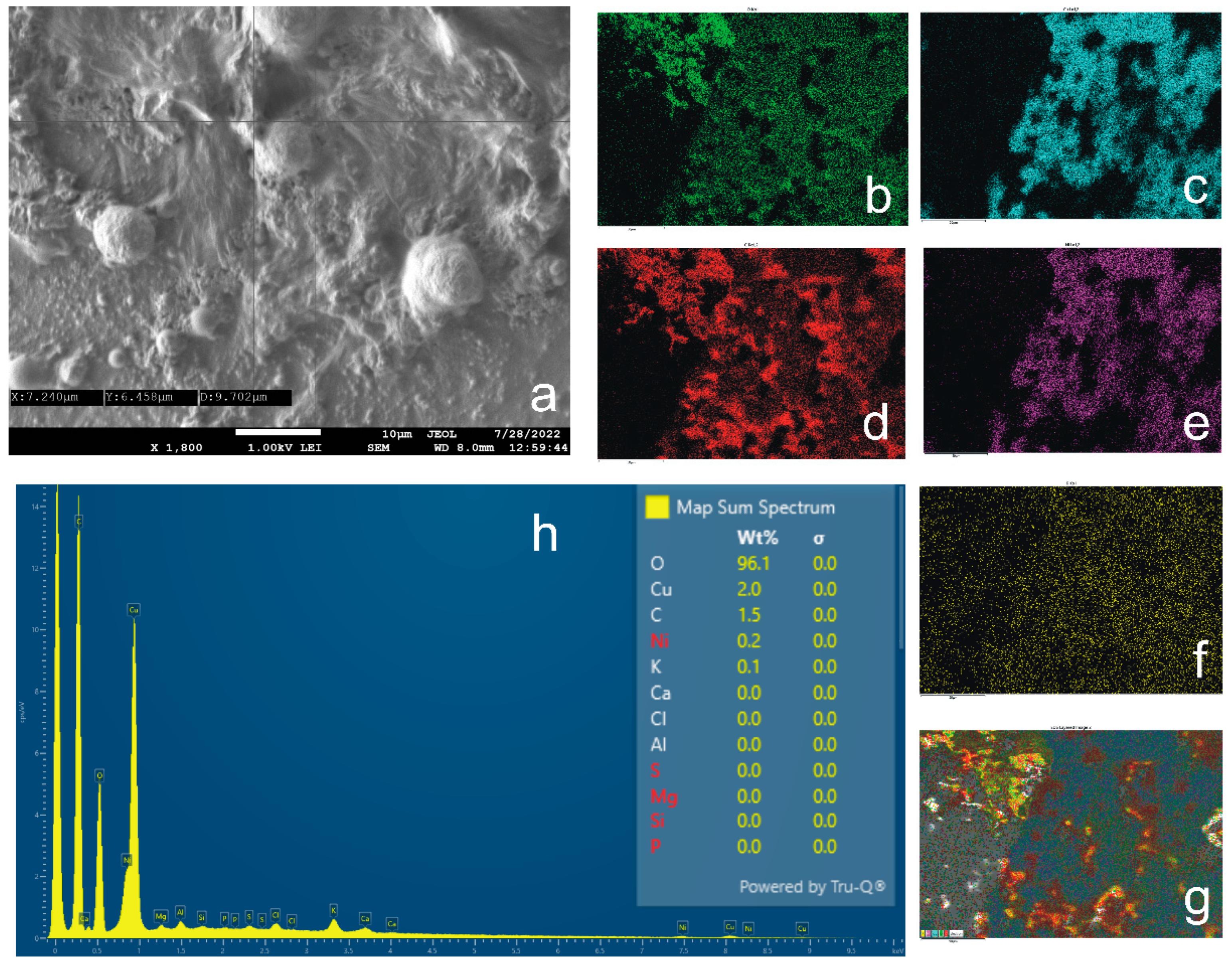 Electrochem 05 00038 g007