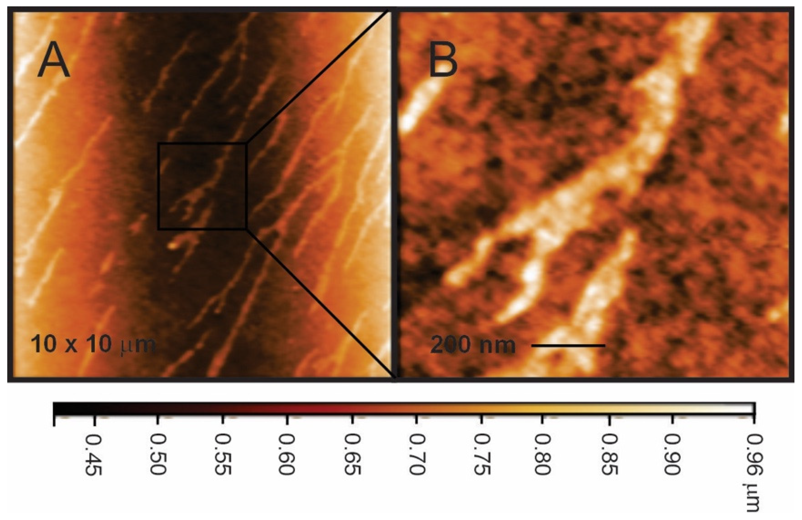 Electrochem 06 00010 g001