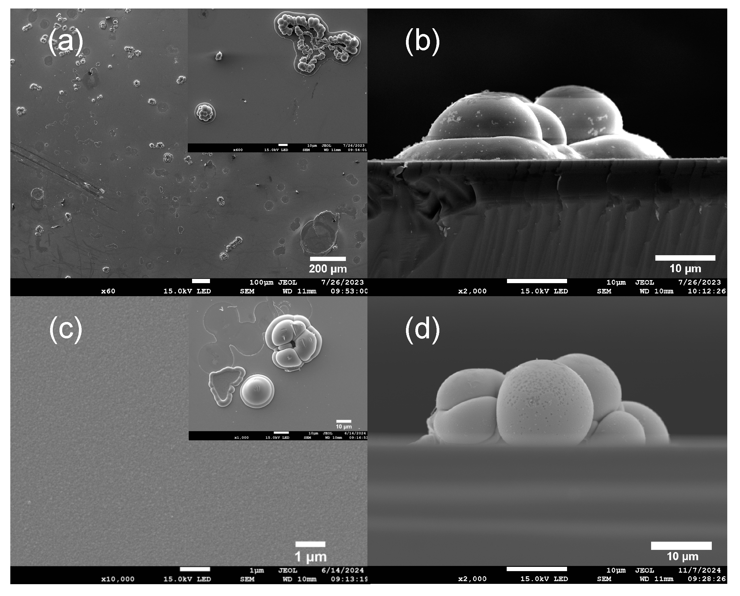 Electrochem 06 00016 g006