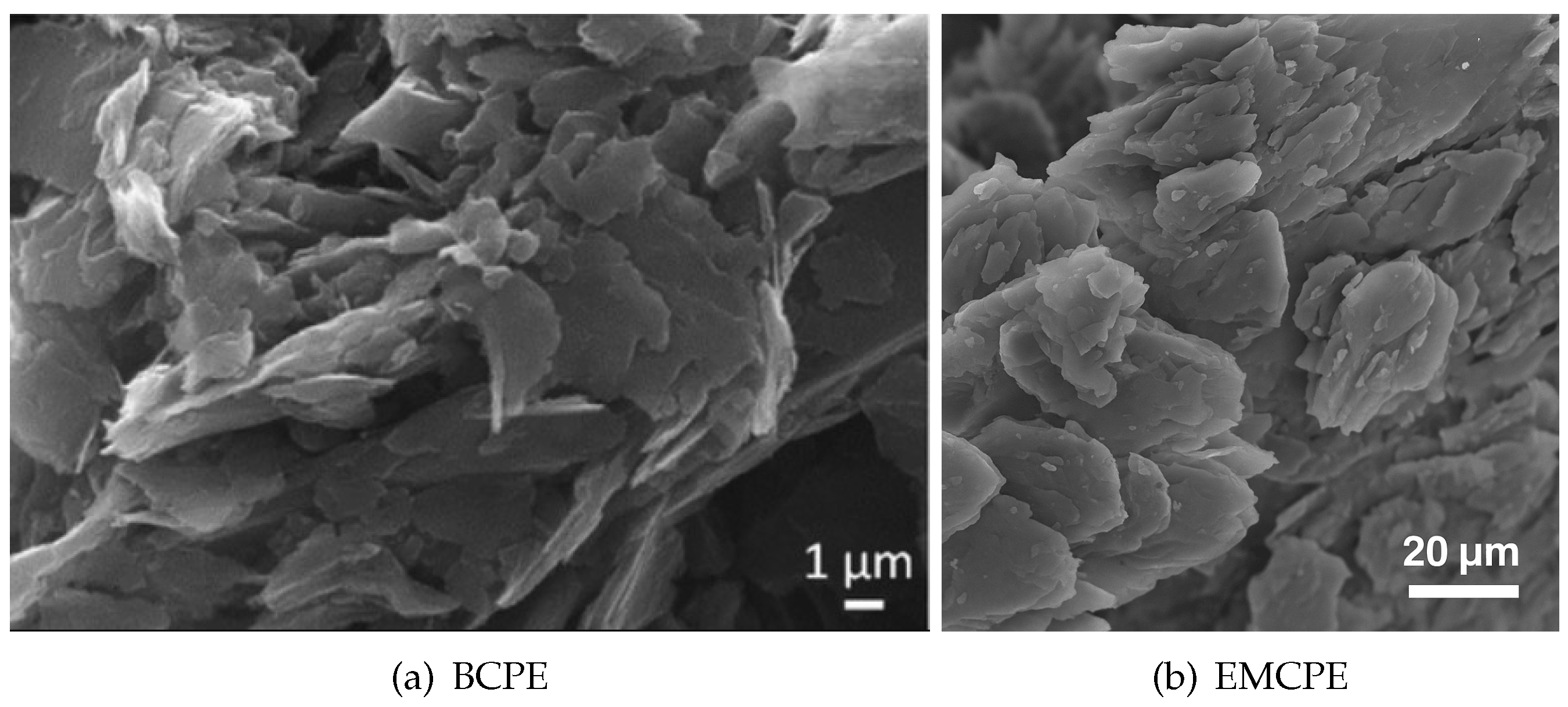 Electrochem 06 00019 g003