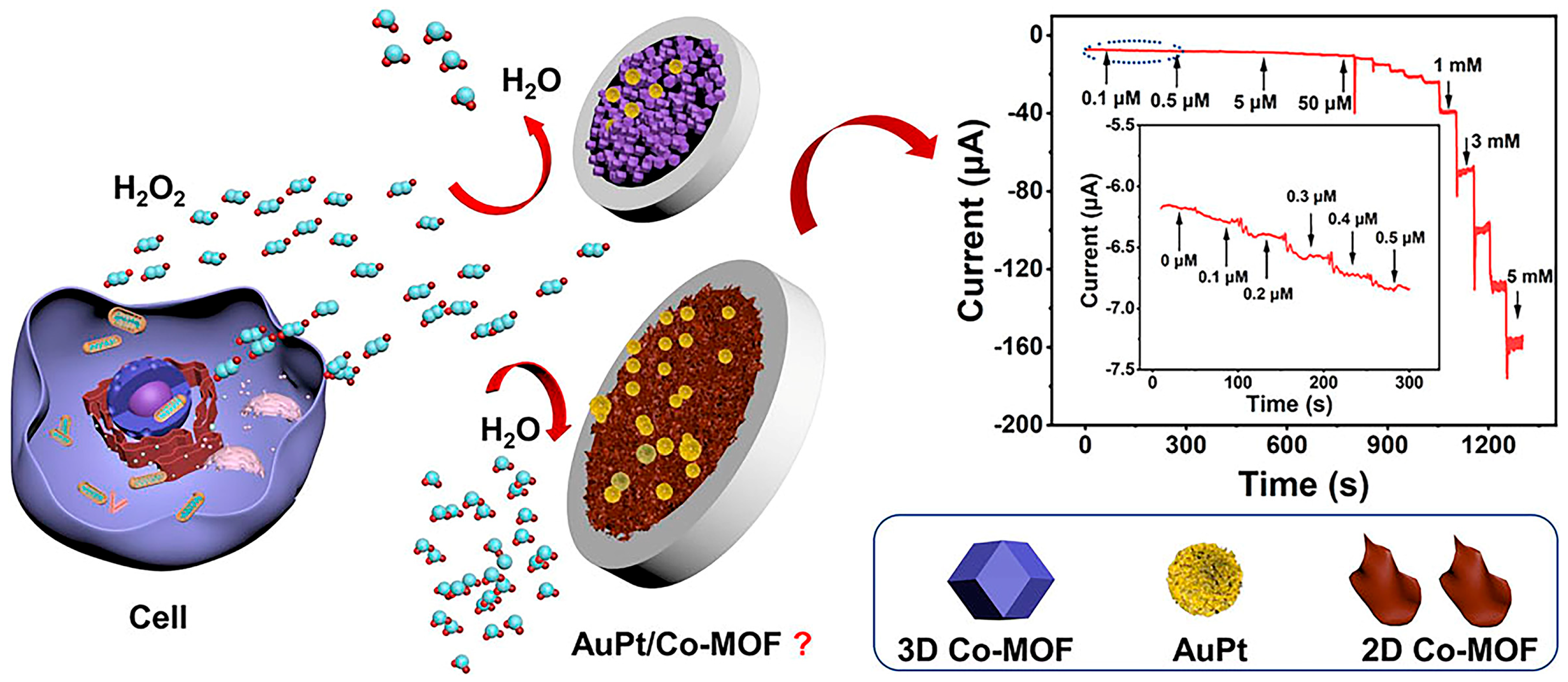 Electrochem 06 00028 g004