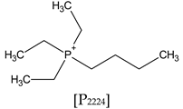 Electrochem 06 00034 i001 Electrochem 06 00034 i001