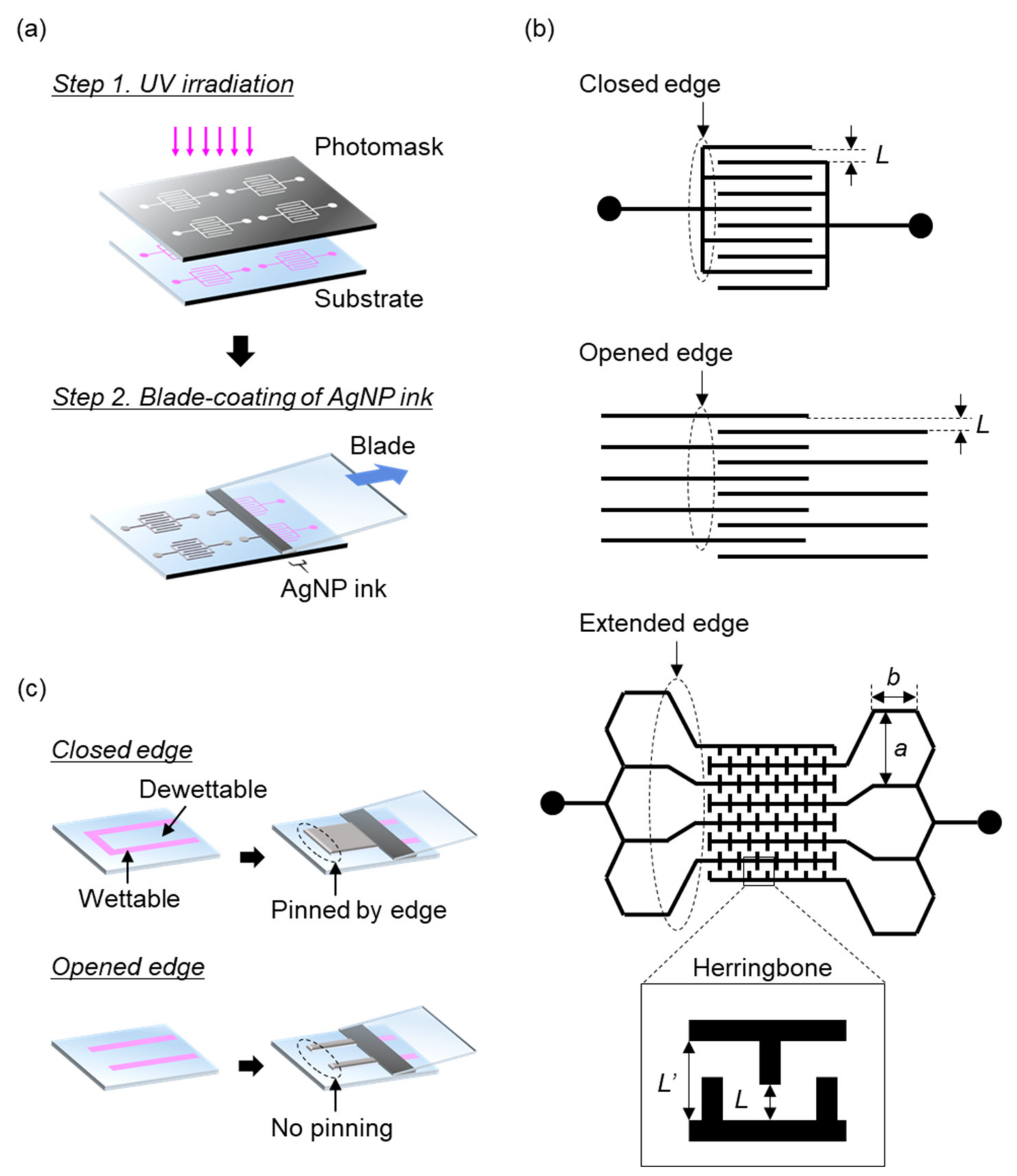 Electronicmat 02 00007 g001