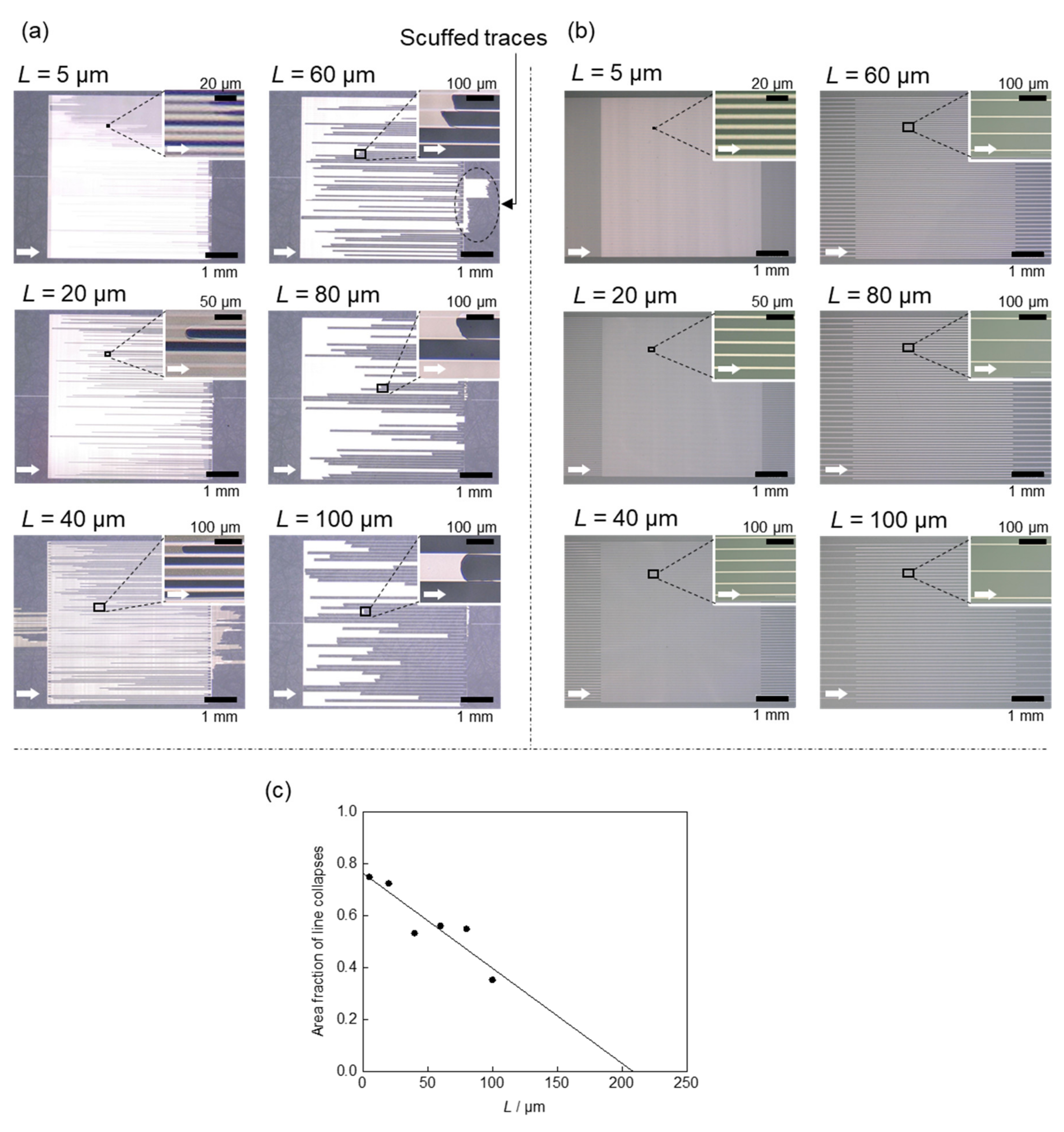 Electronicmat 02 00007 g002