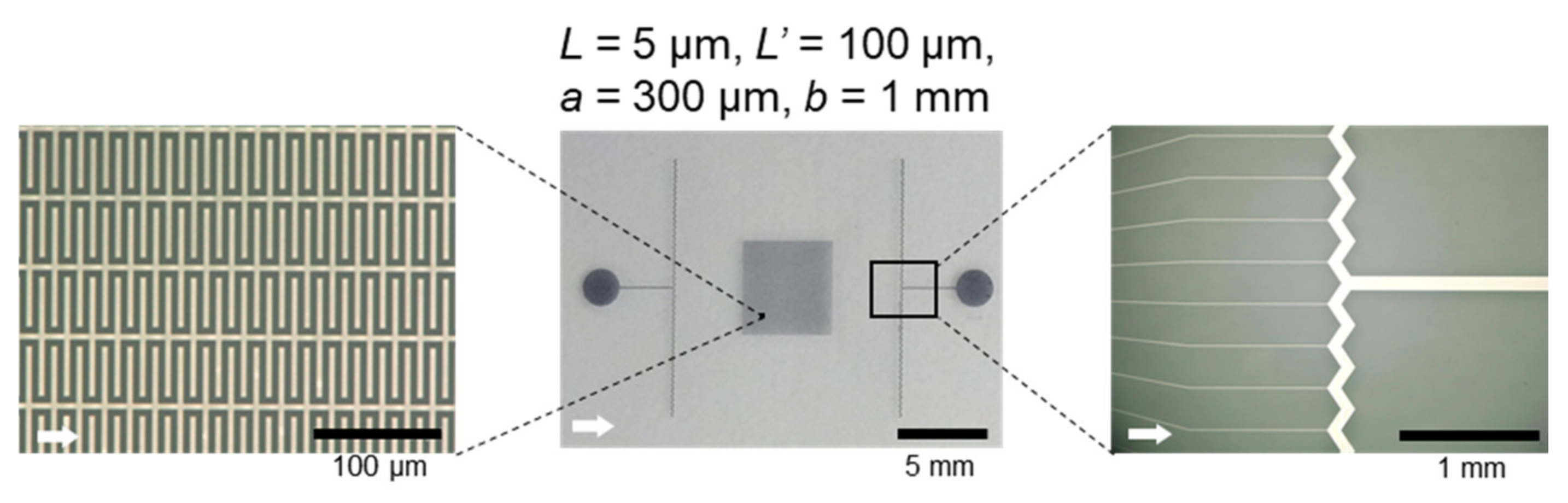 Electronicmat 02 00007 g004