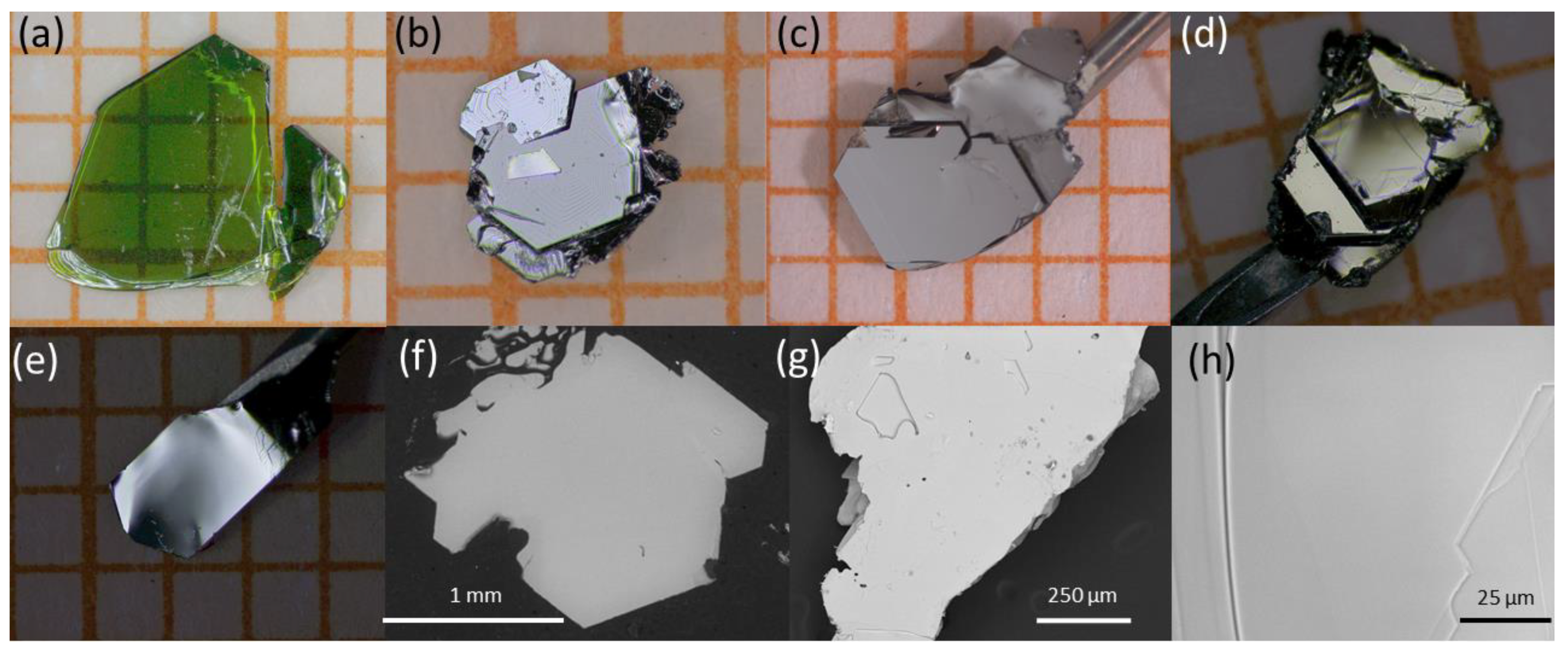 Electronicmat 02 00020 g001