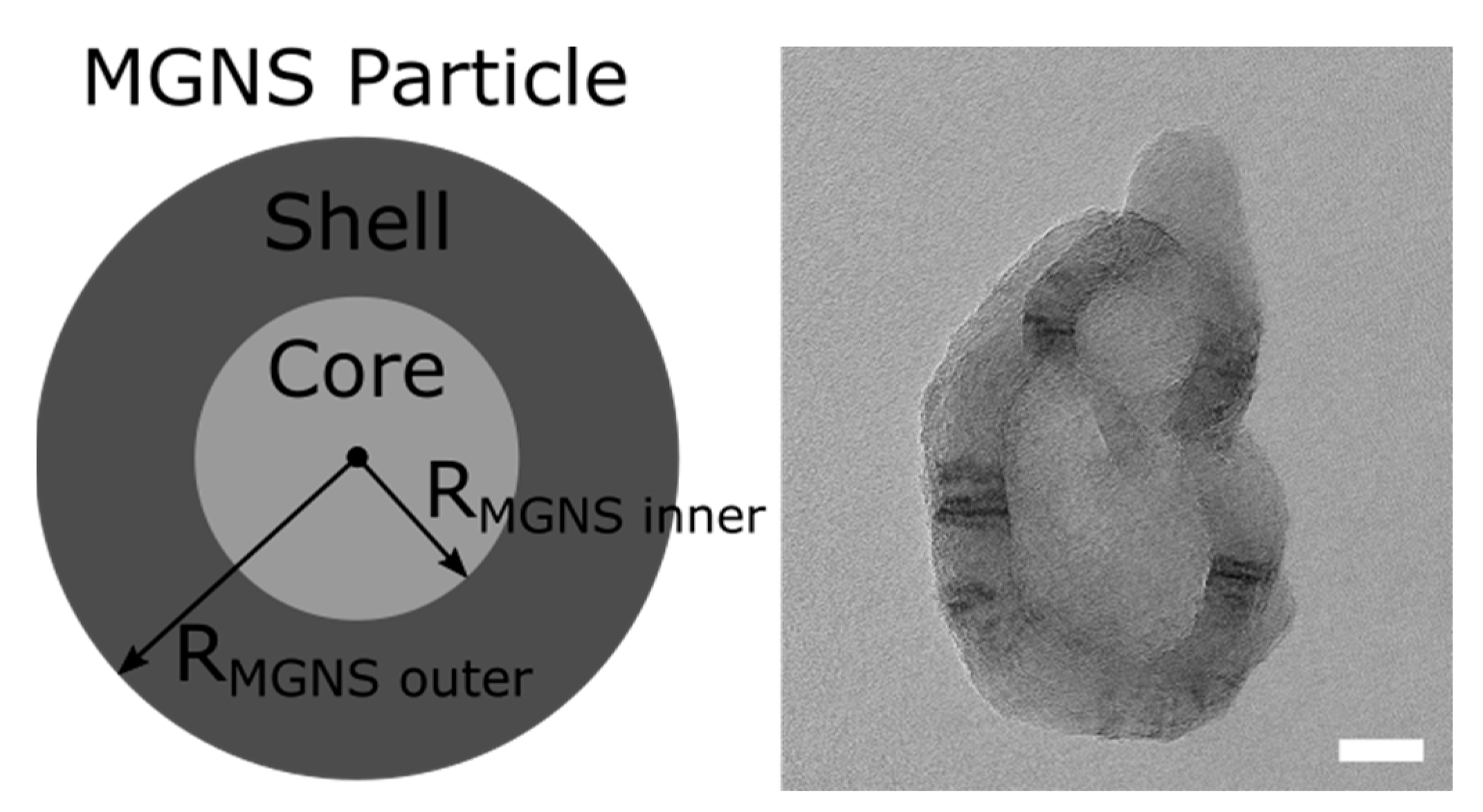 Electronicmat 02 00027 g003