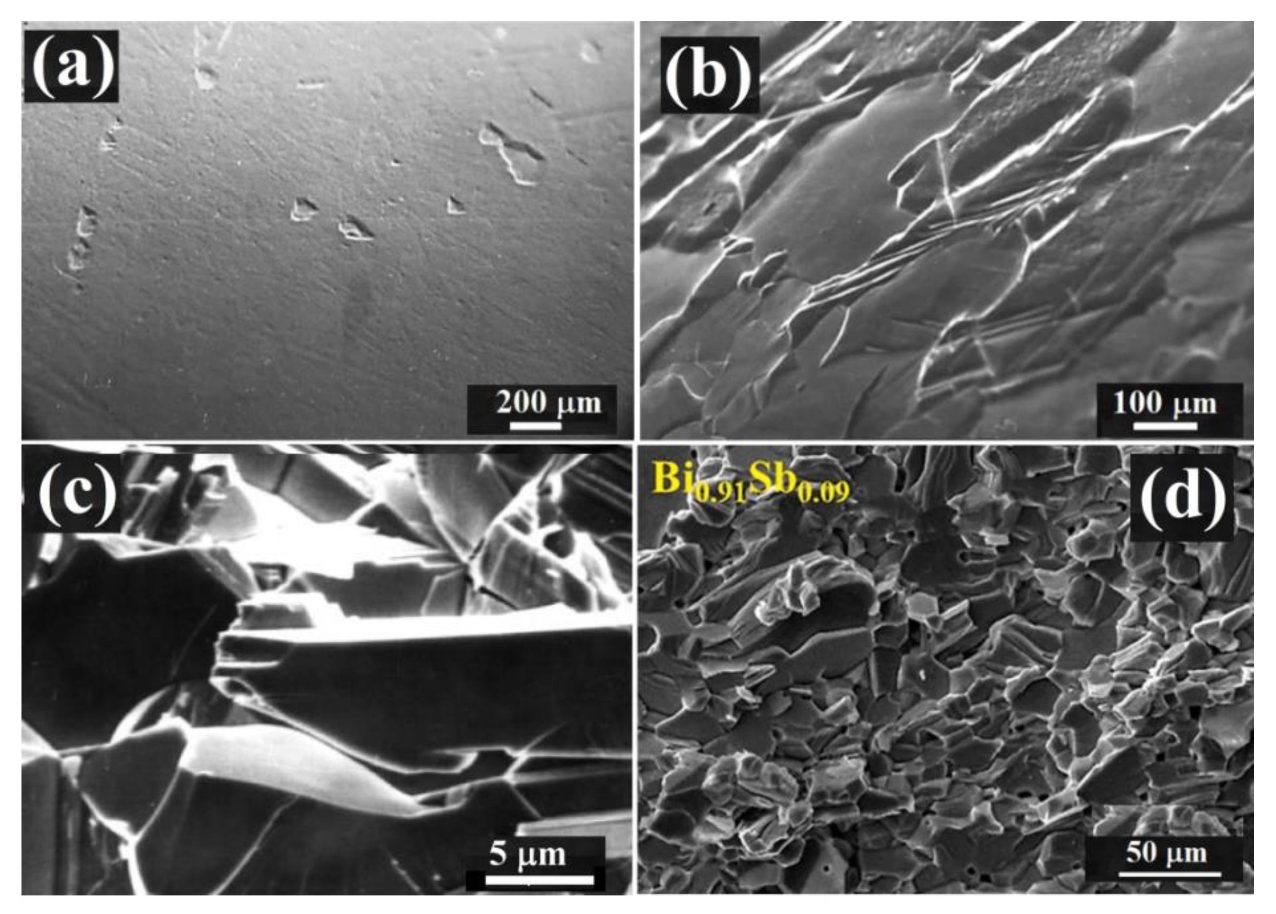 Electronicmat 02 00036 g006