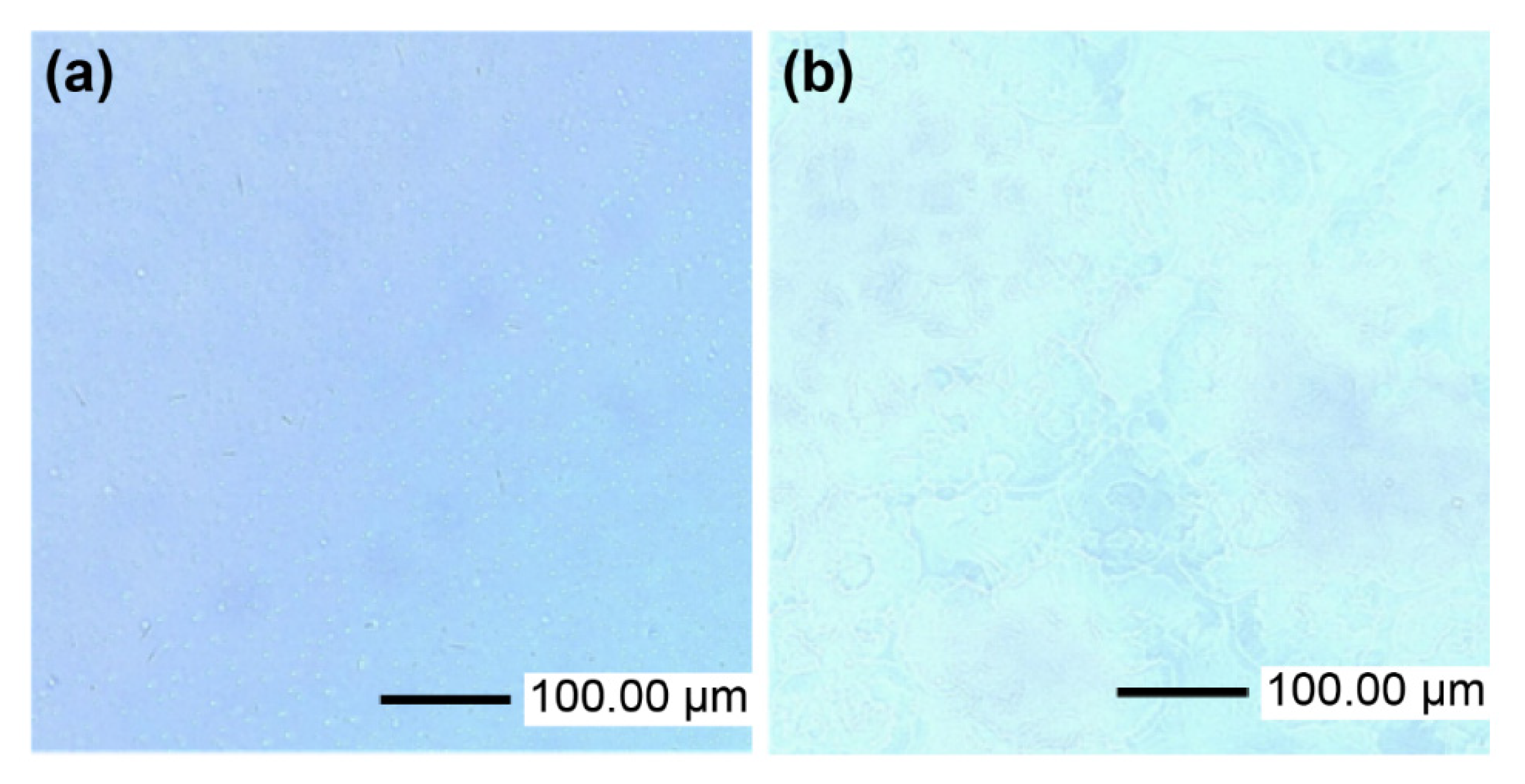 Electronicmat 02 00038 g006 Electronicmat 02 00038 g006