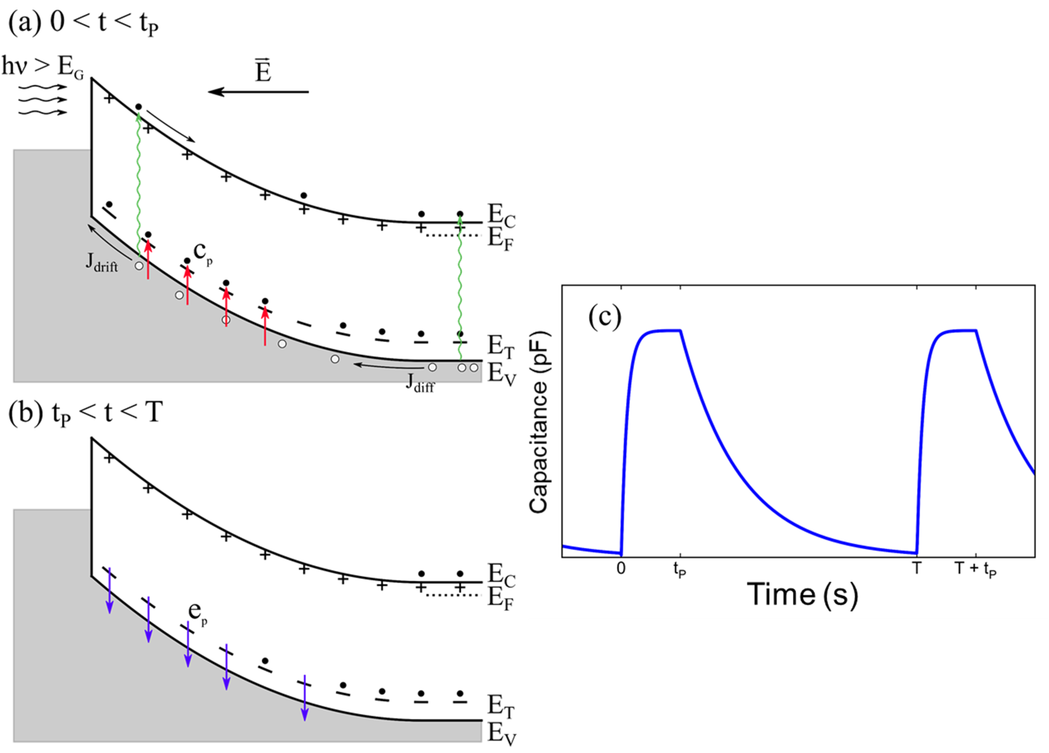 Electronicmat 03 00011 g003
