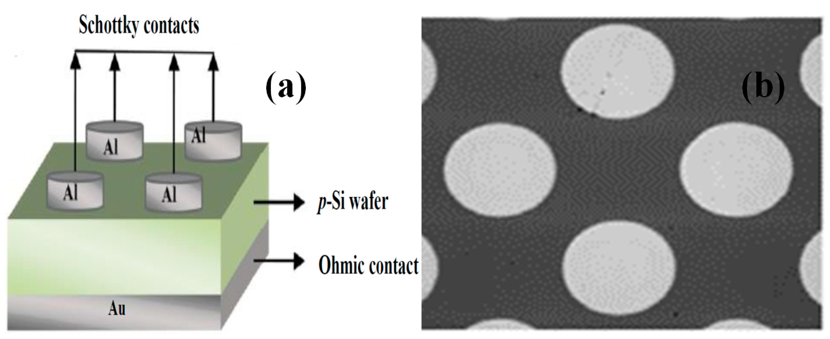 Electronicmat 04 00008 g001