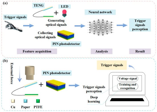 (a) Schematic diagram of trigger signal detection process. (b) Diagram of the trigger signal detection system.