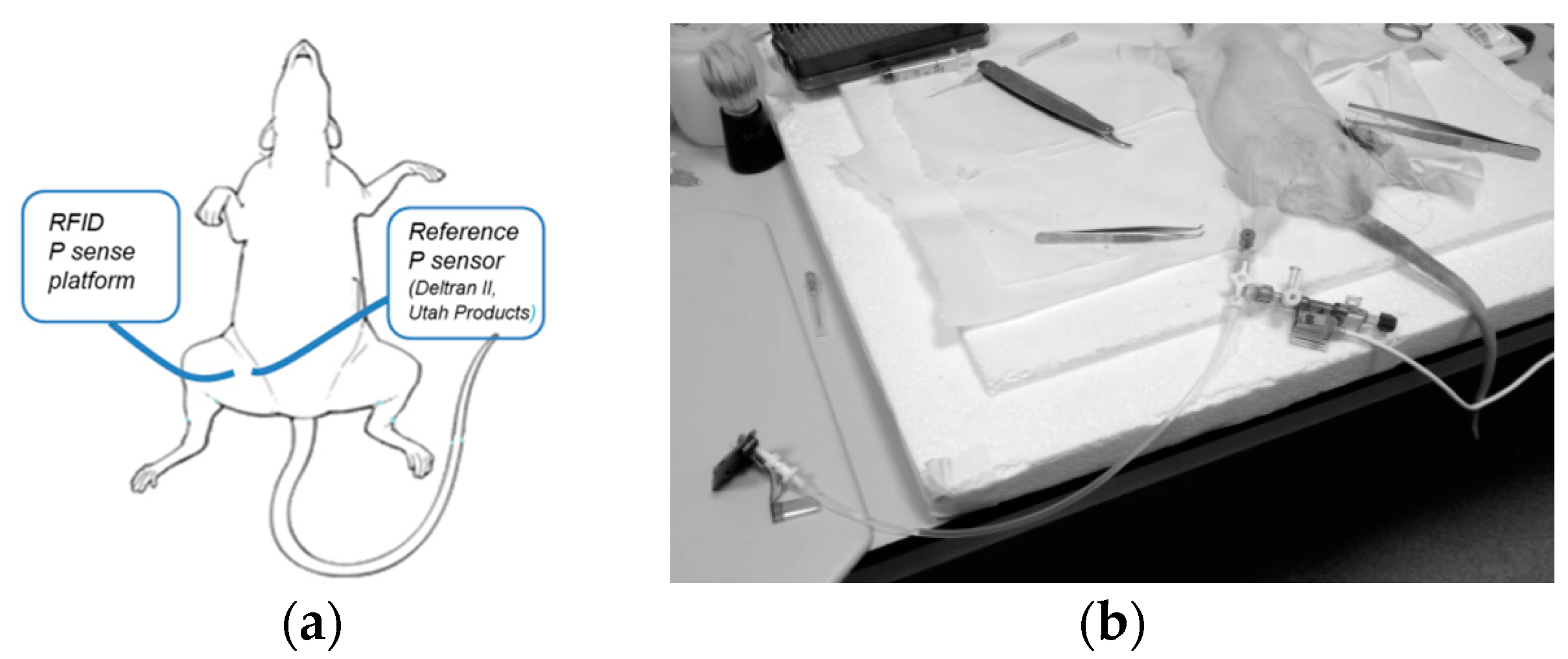 Electronics 05 00051 g007