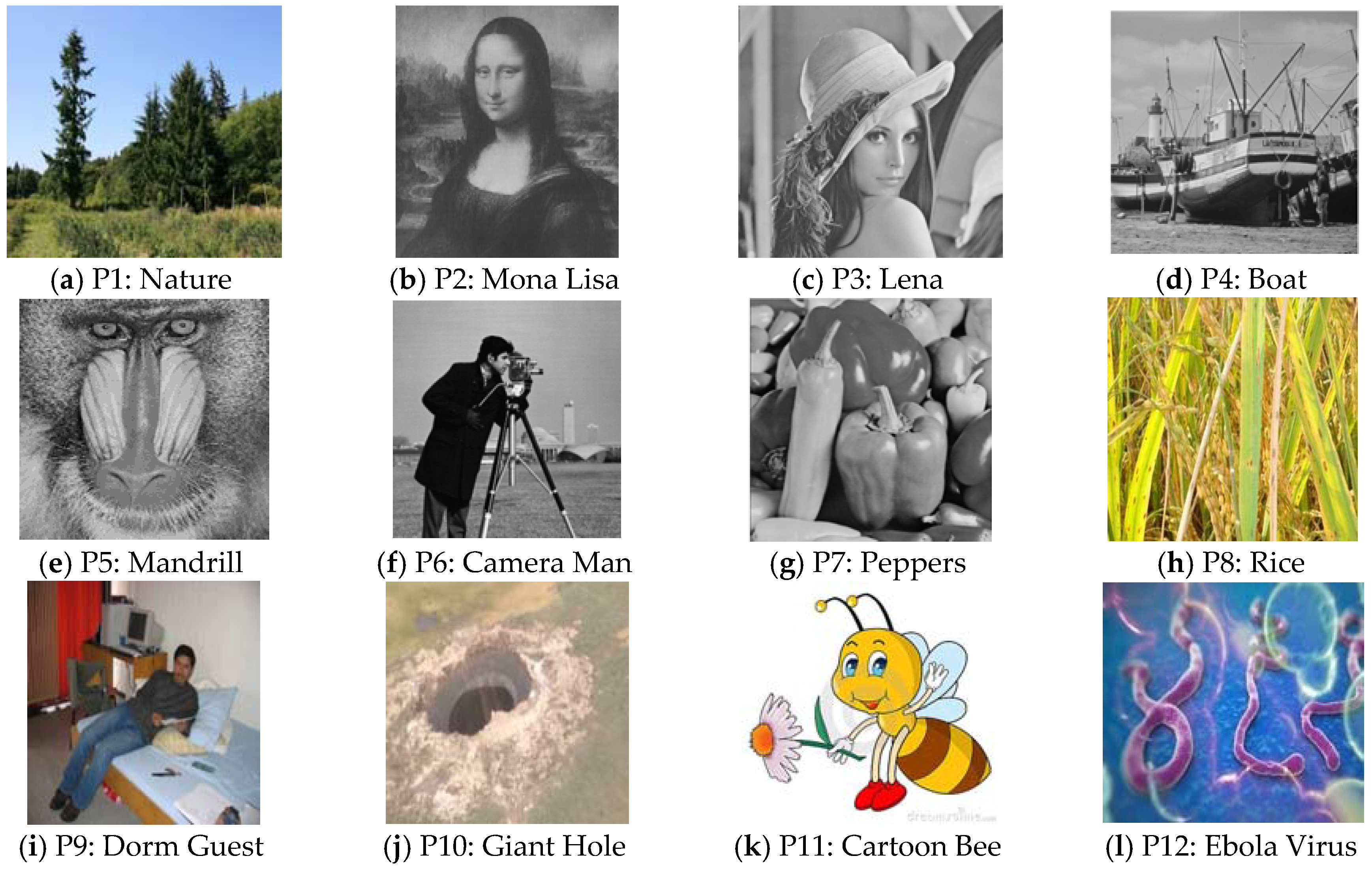 Electronics 05 00079 g004