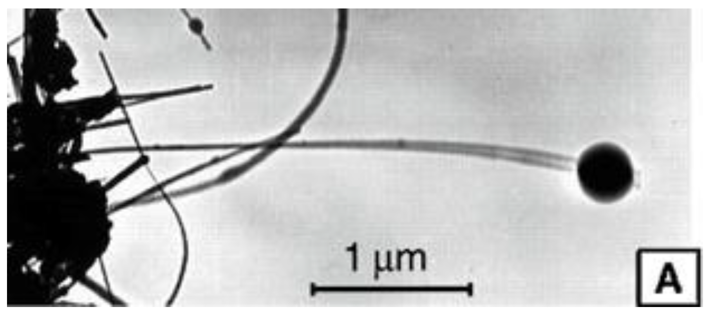 Electronics 06 00056 g002 Electronics 06 00056 g002