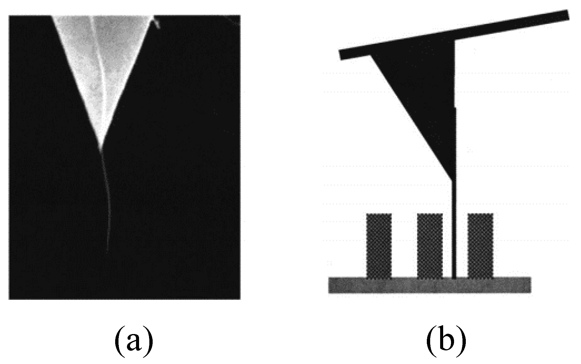 Electronics 06 00056 g011 Electronics 06 00056 g011