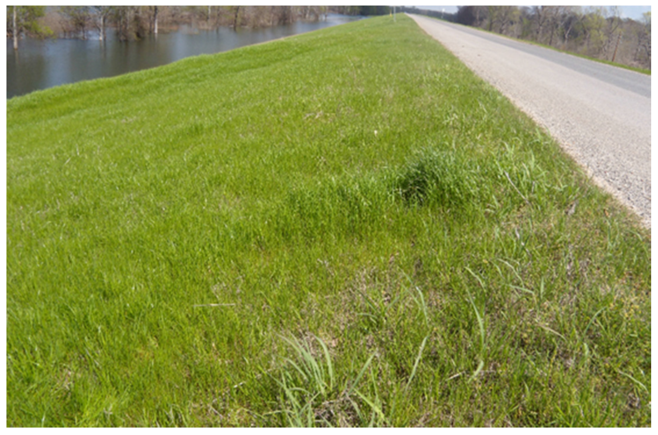 Electronics 06 00083 g001