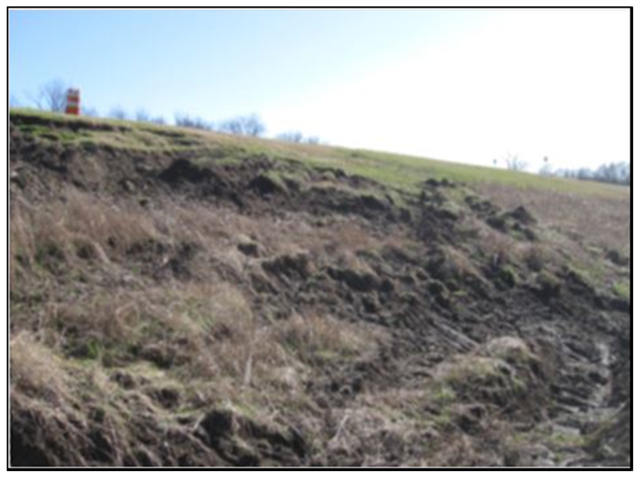 Electronics 06 00083 g002