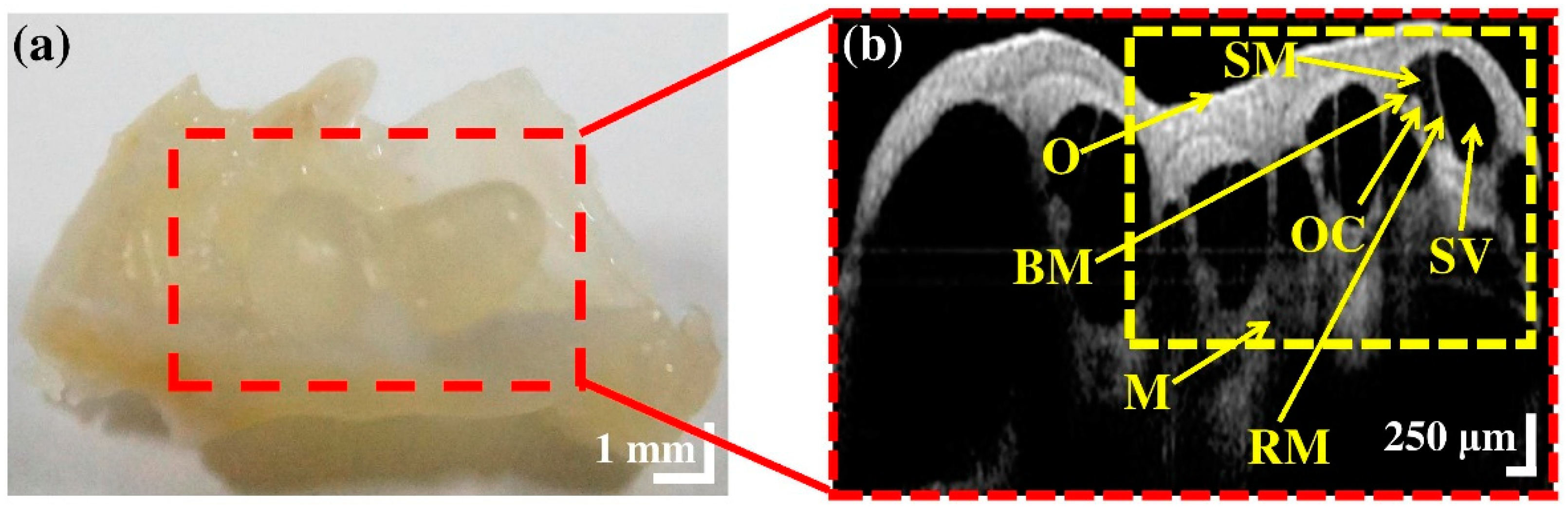 Electronics 07 00133 g002