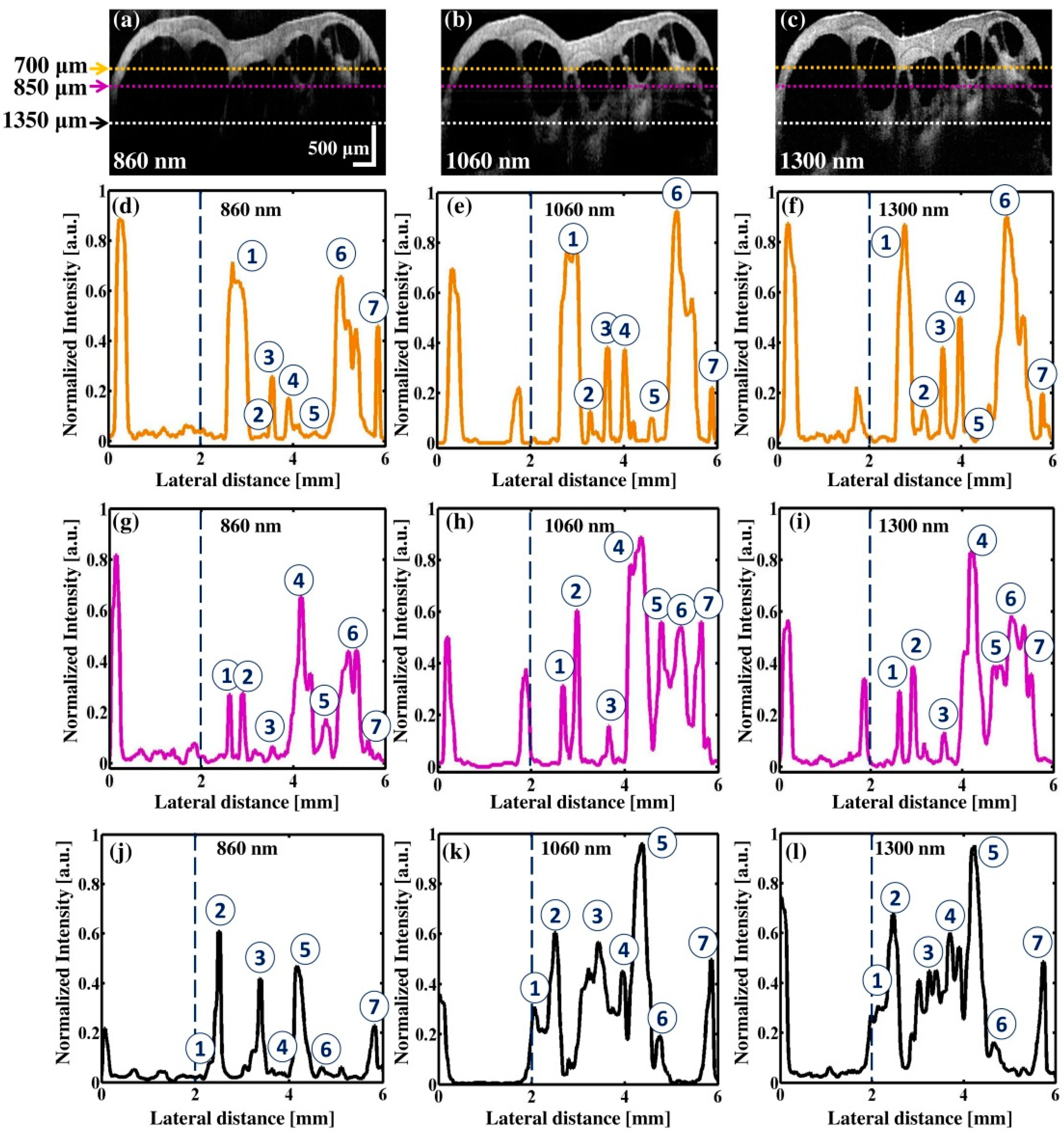 Electronics 07 00133 g003