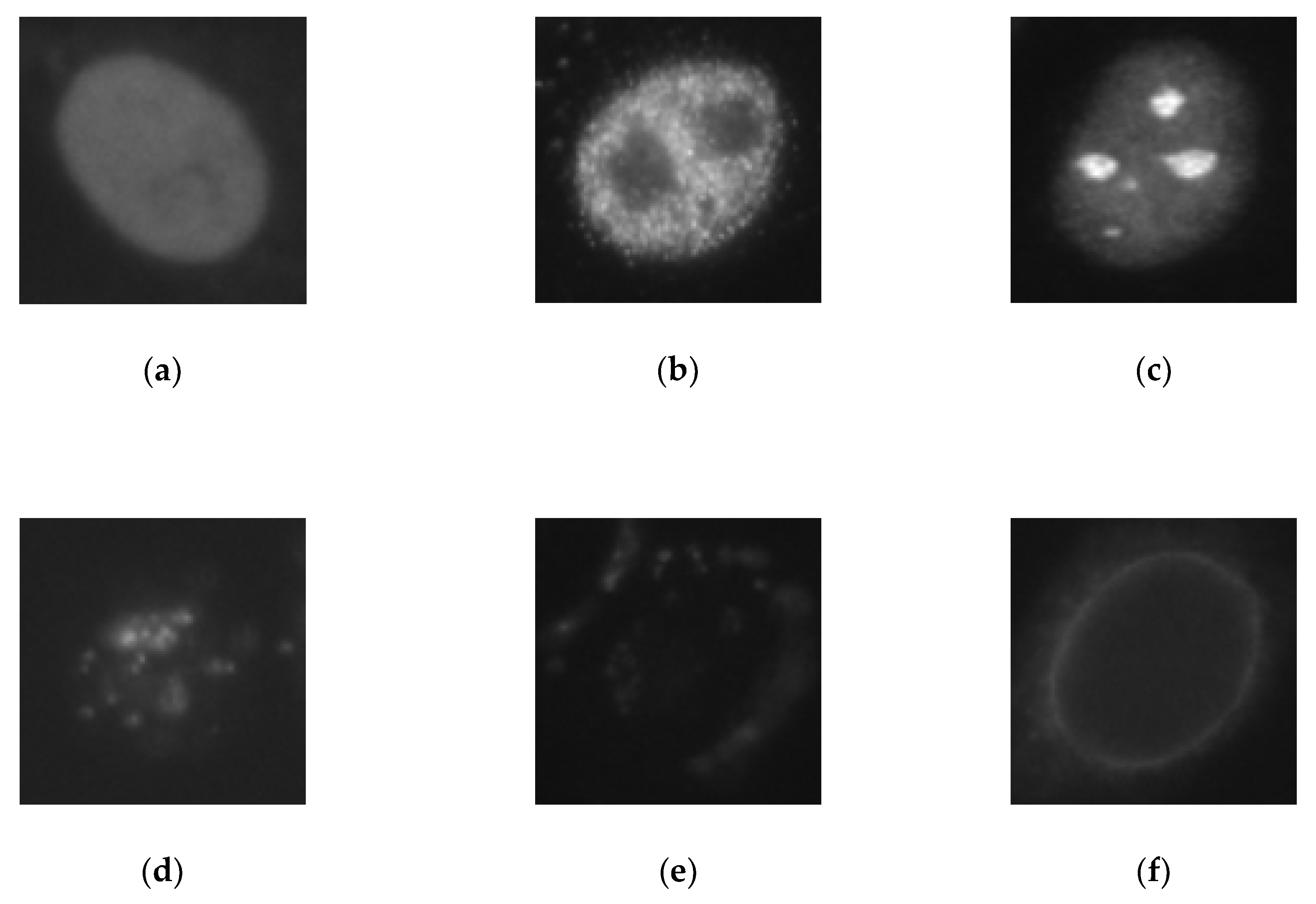Electronics 08 00020 g008
