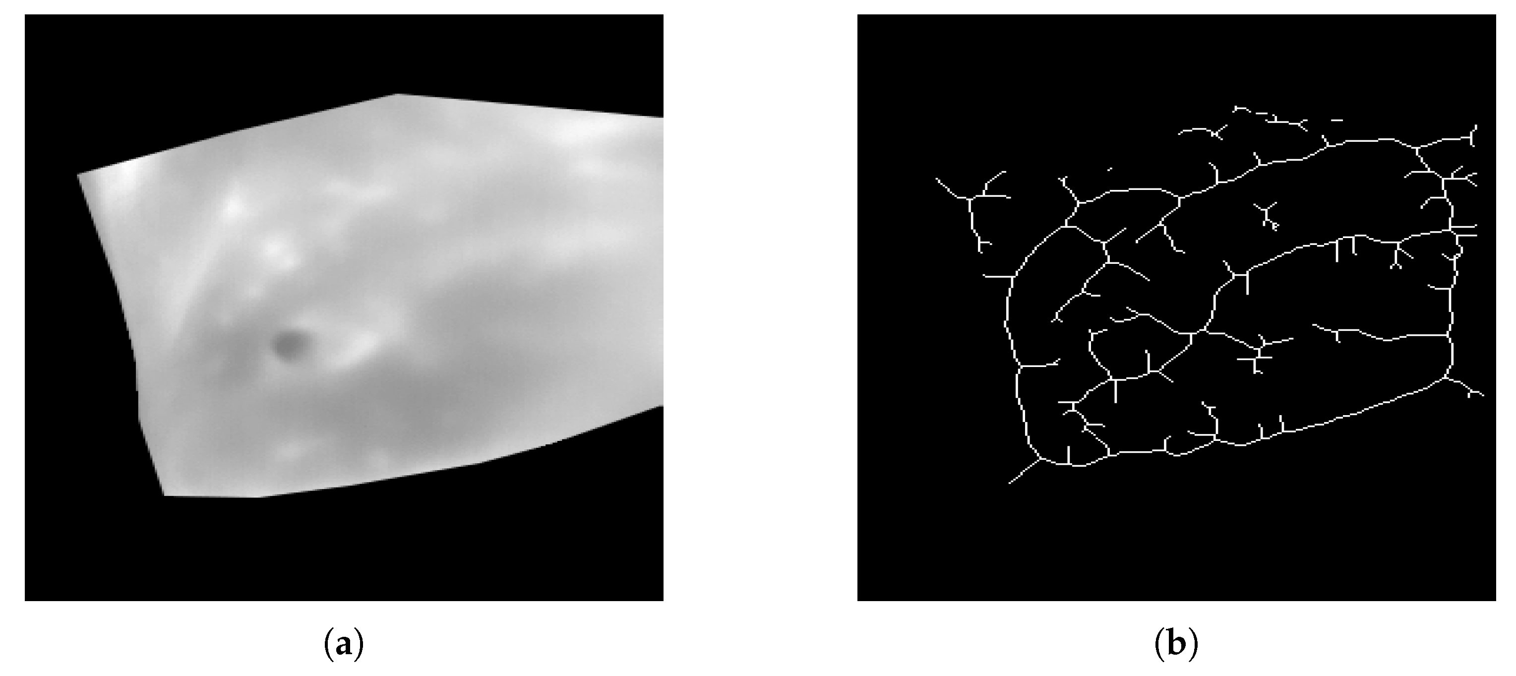 Electronics 08 00100 g003