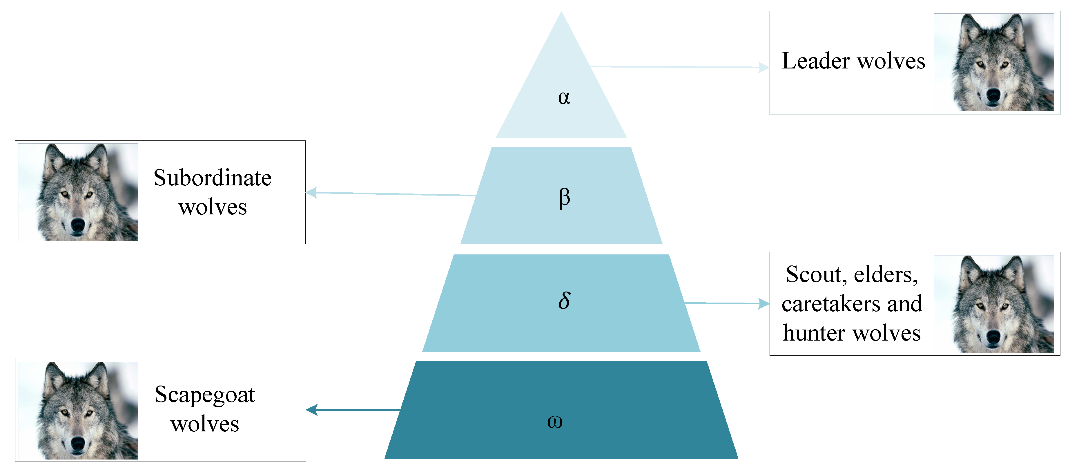 Electronics 08 00218 g003