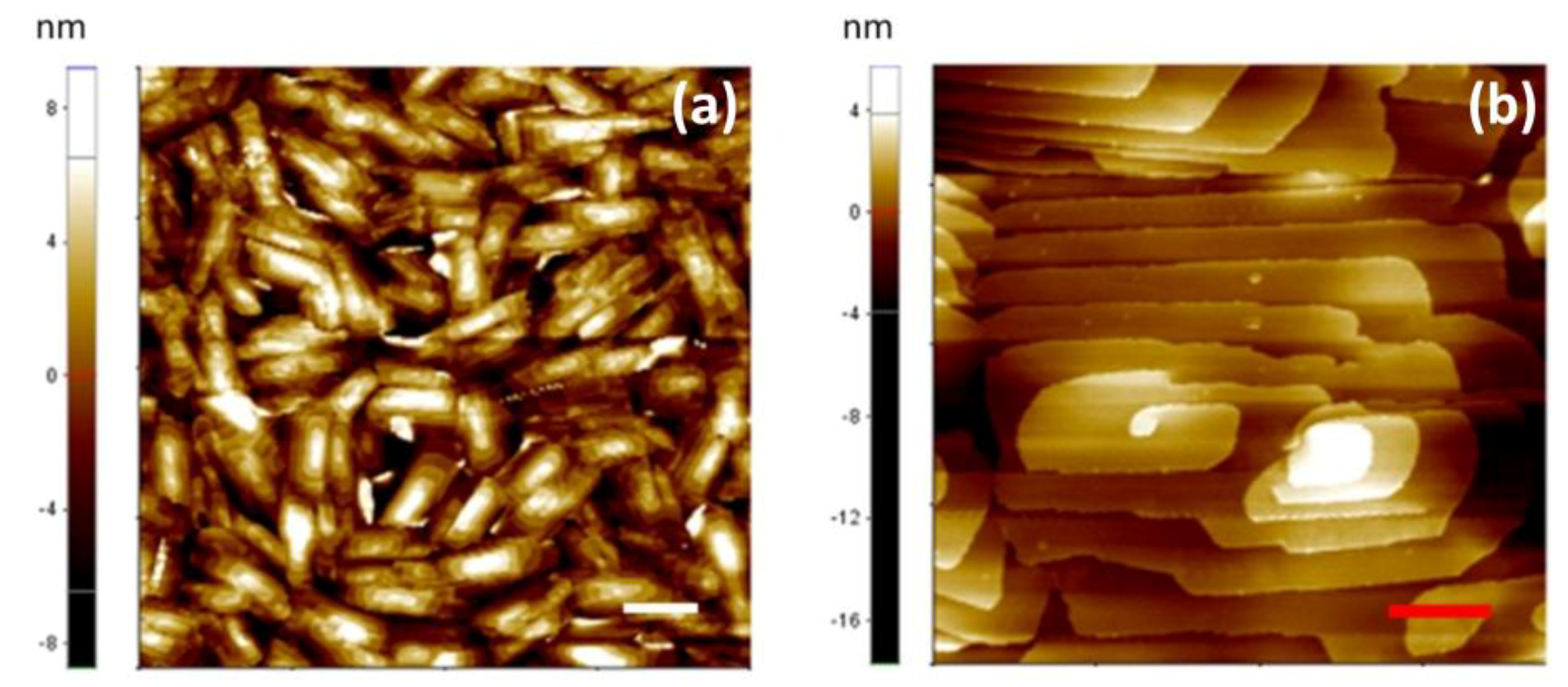 Electronics 08 00249 g007