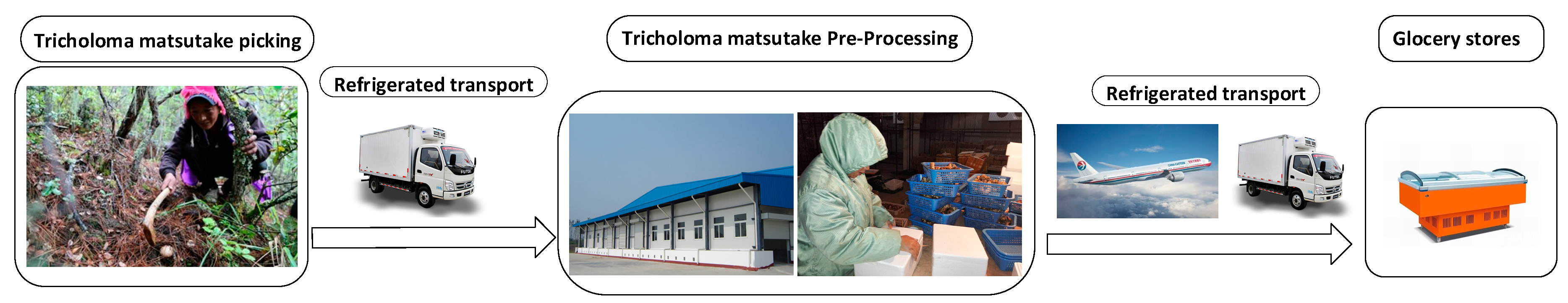 Electronics 08 00423 g001