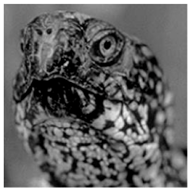 Electronics 08 00936 i014