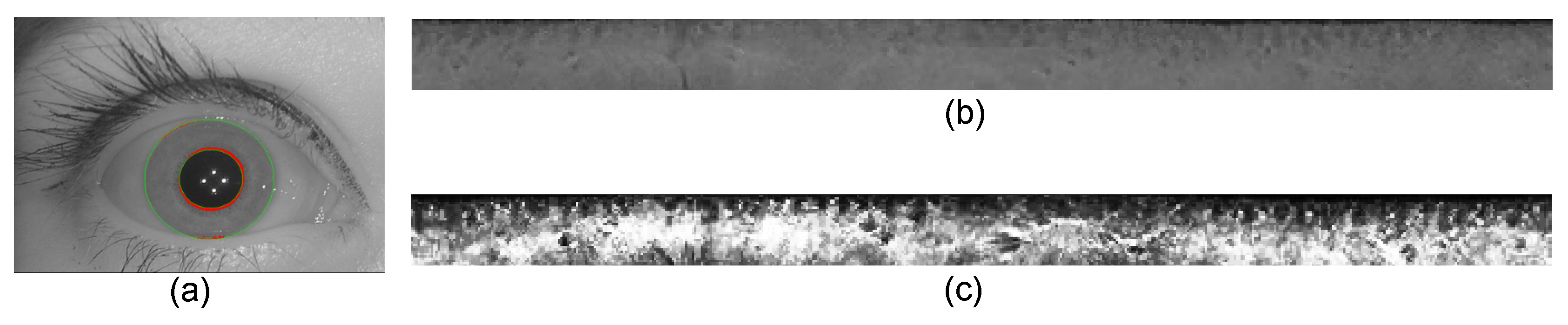 Electronics 08 01109 g004