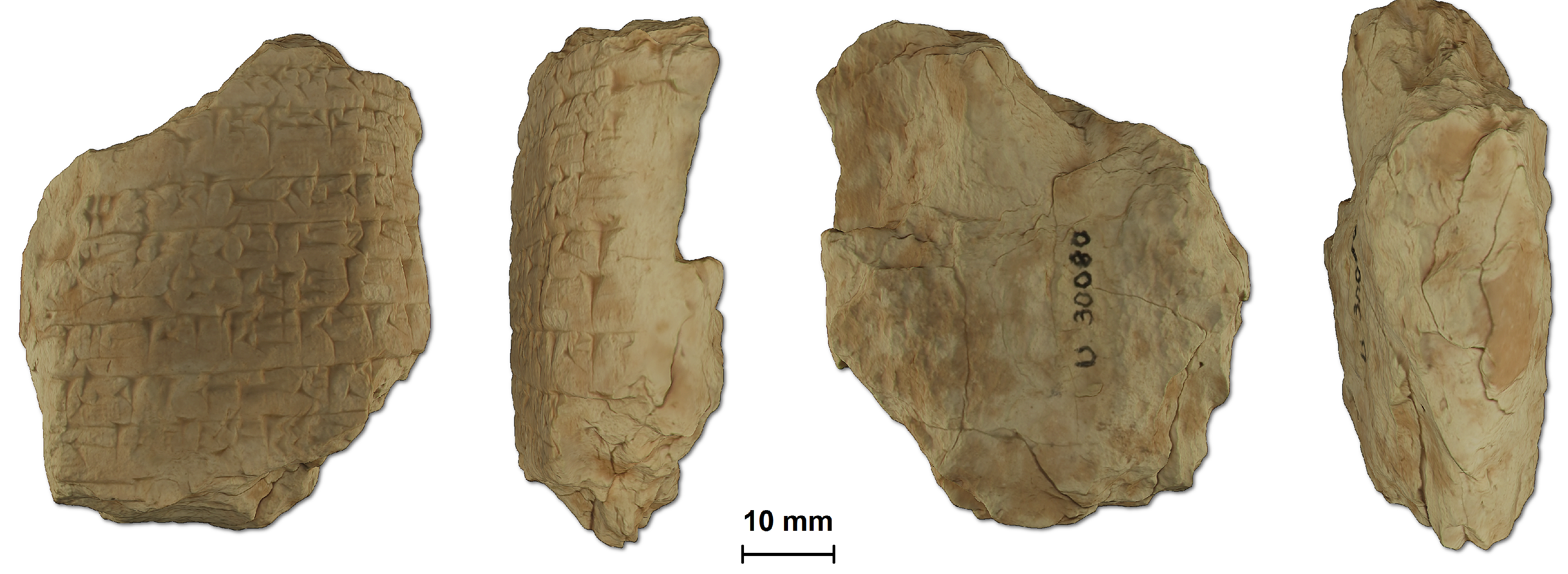 Electronics 08 01441 g010