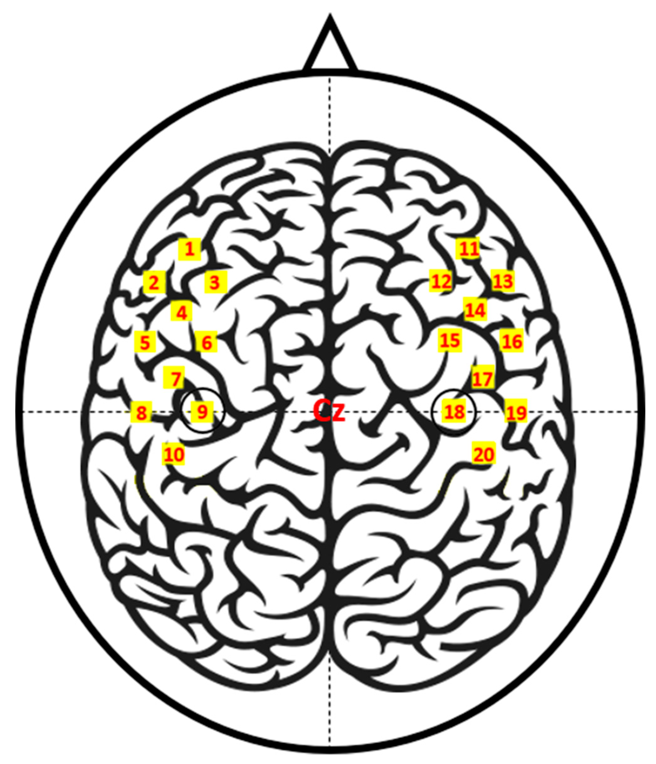 Electronics 08 01486 g001
