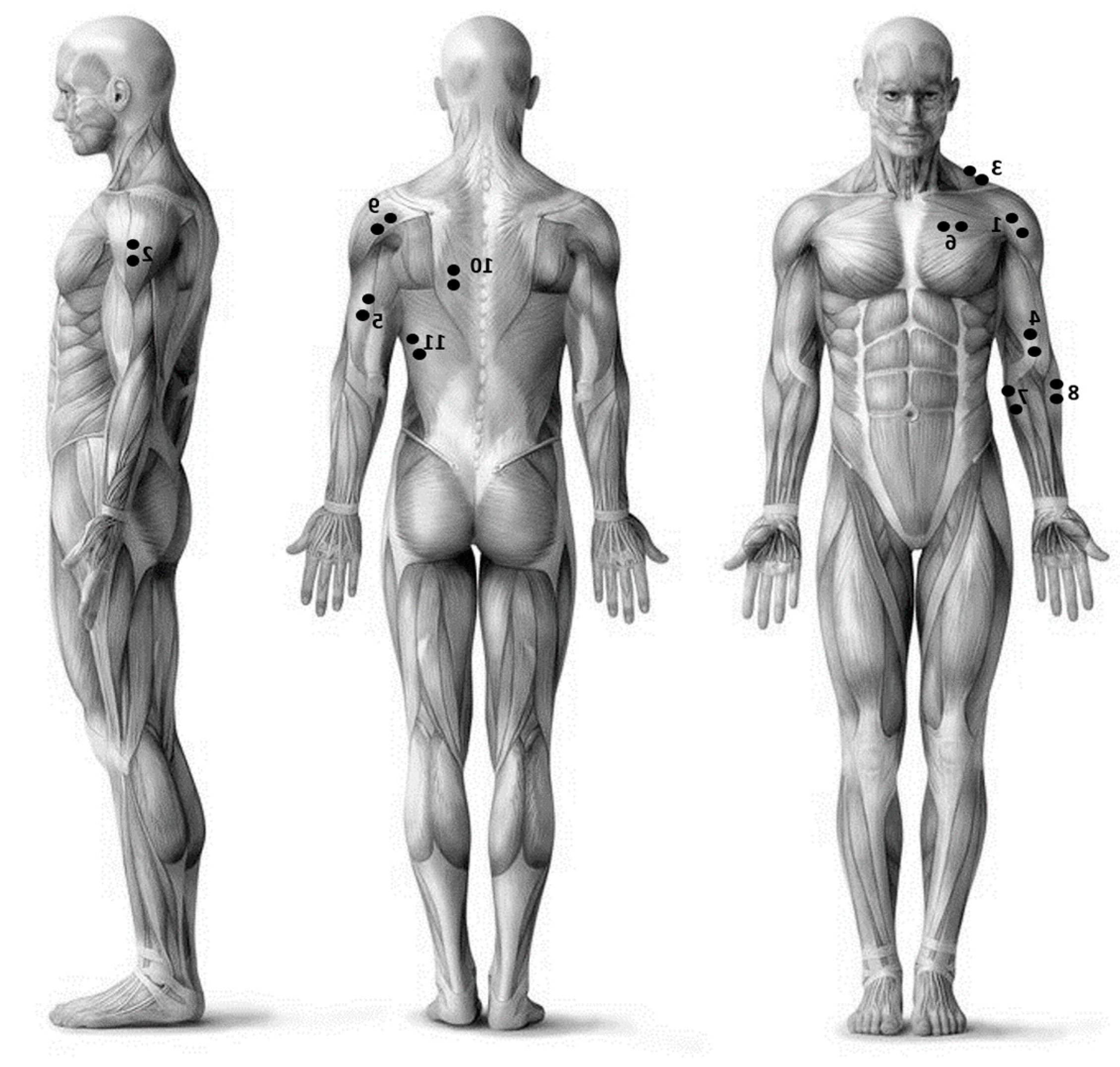 Electronics 08 01495 g002