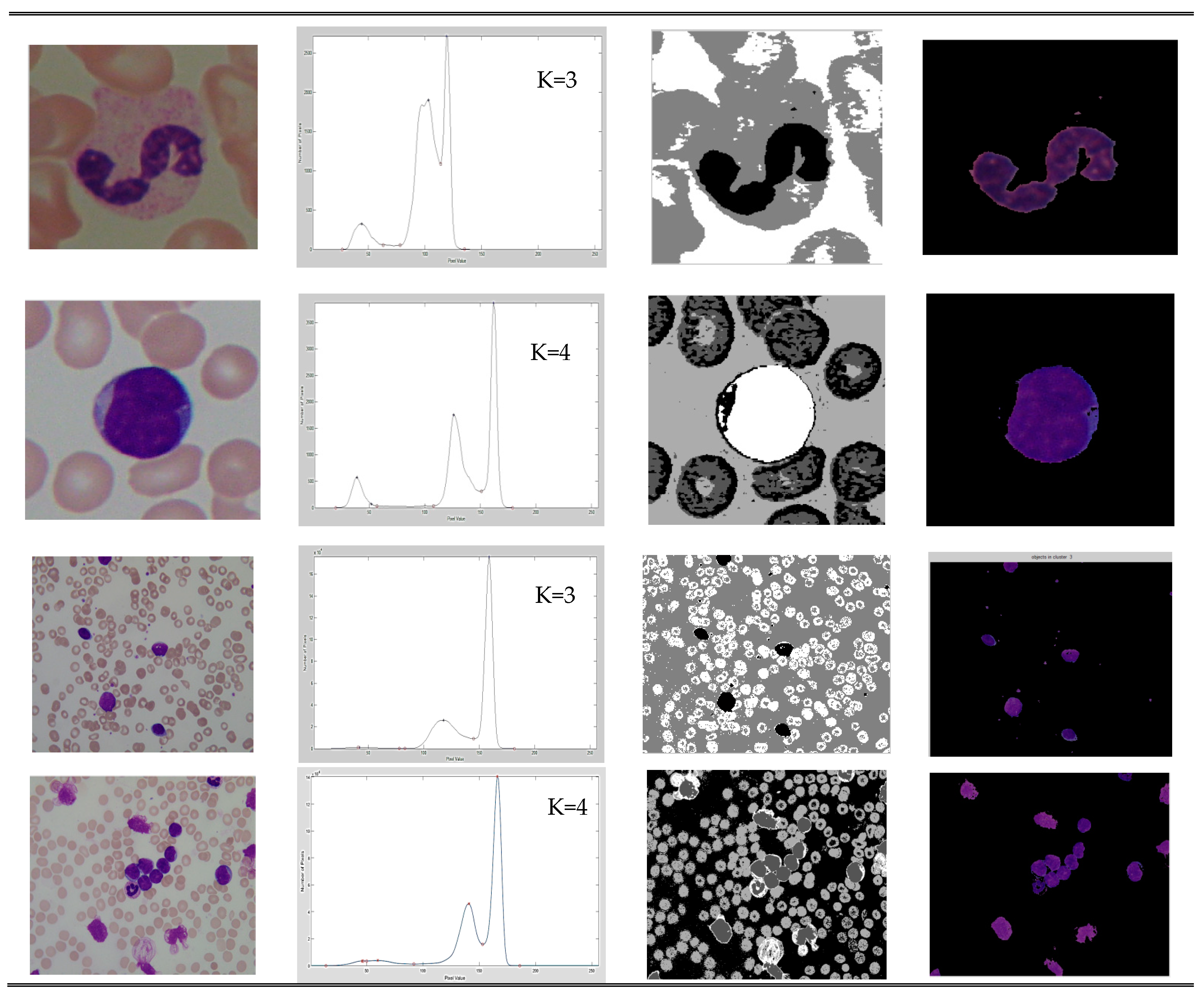 Electronics 09 00188 g002b