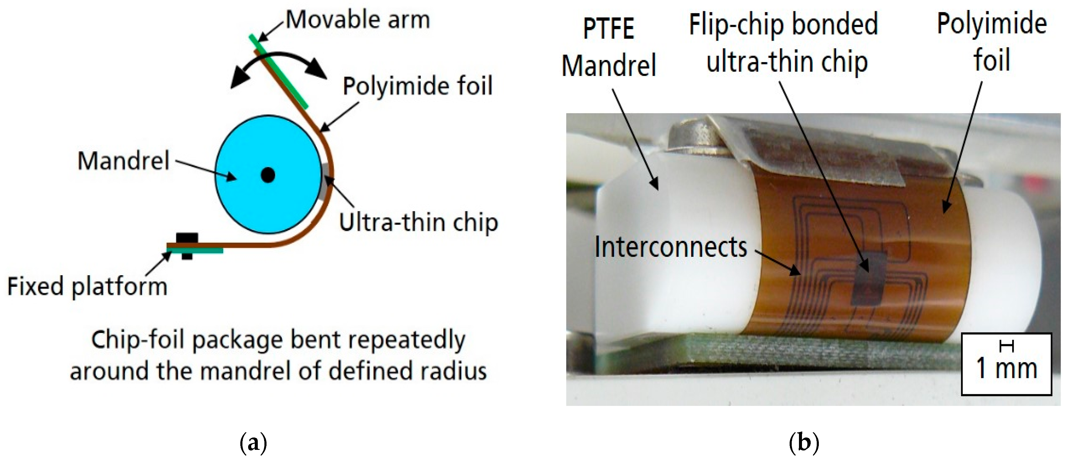 Electronics 09 00238 g005