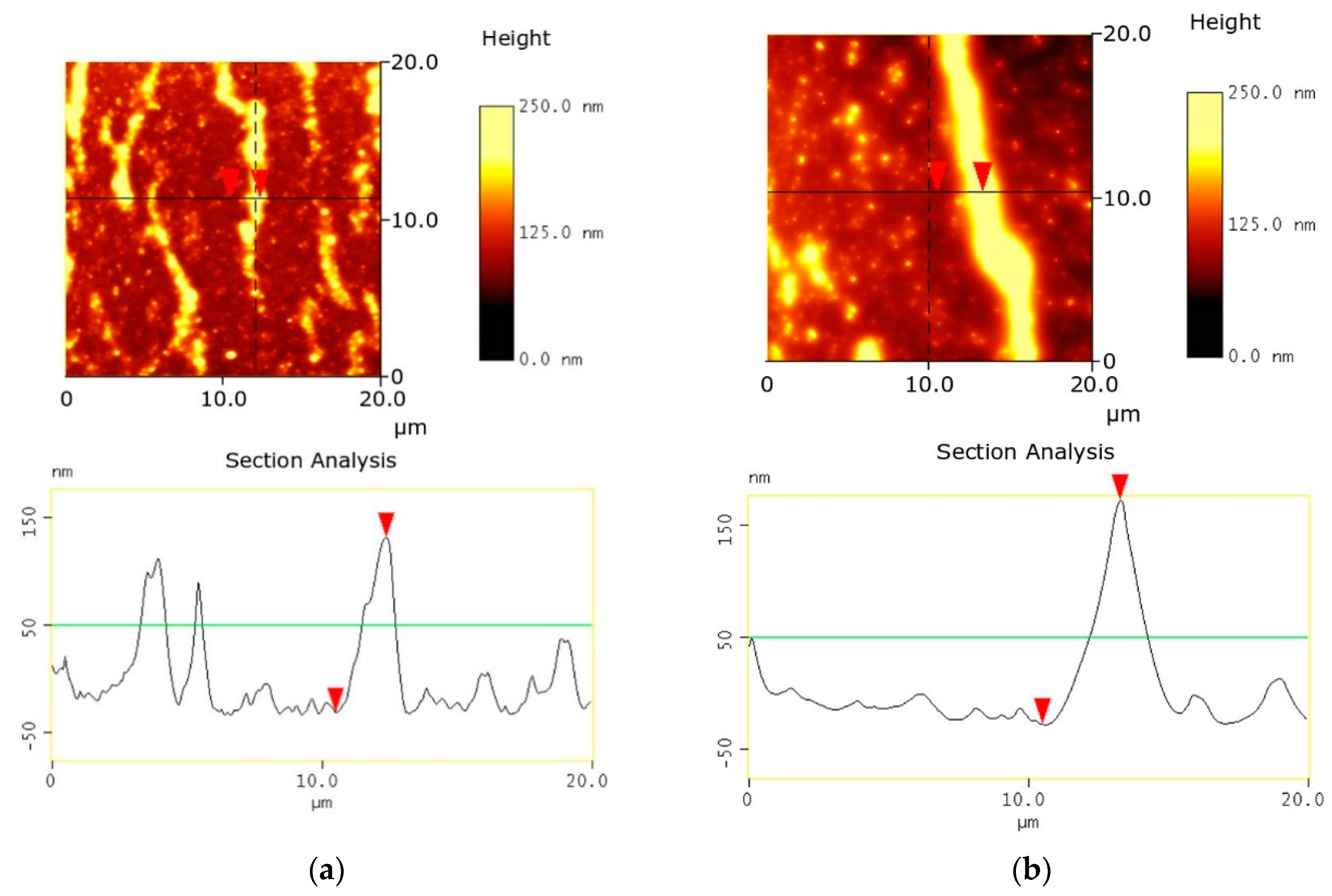 Electronics 09 00238 g010