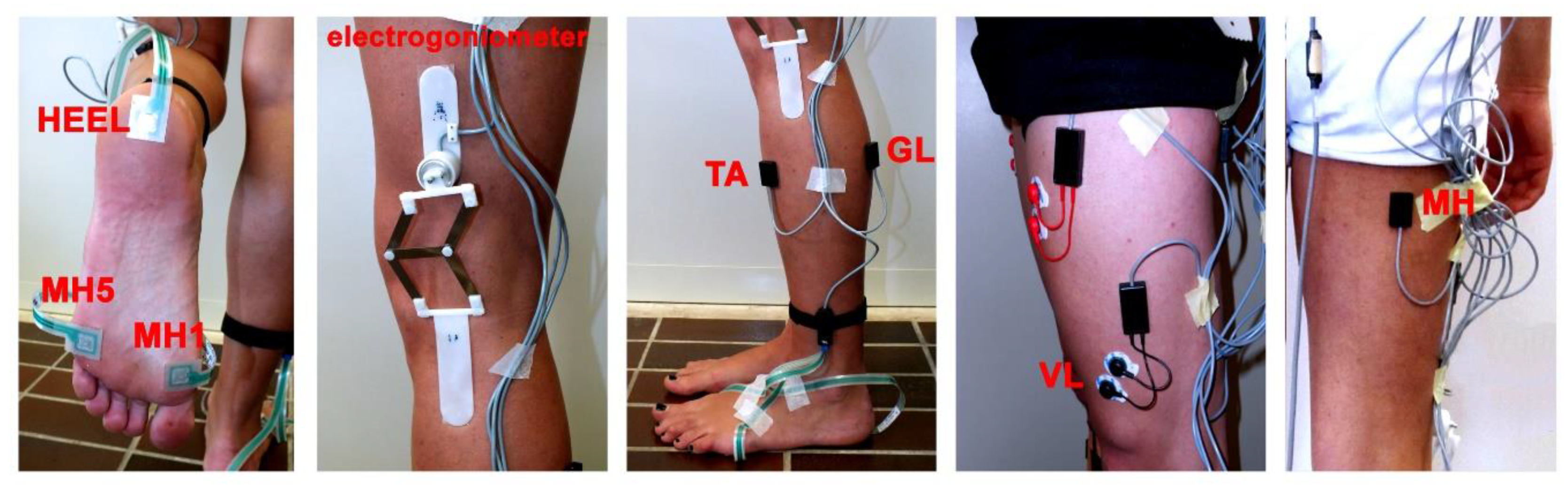 Electronics 09 00355 g001