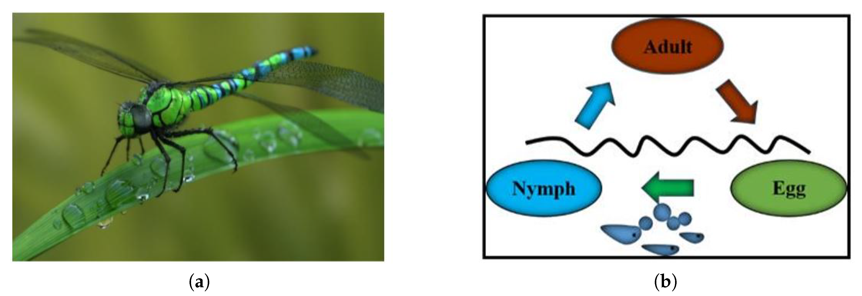 Electronics 09 00406 g003