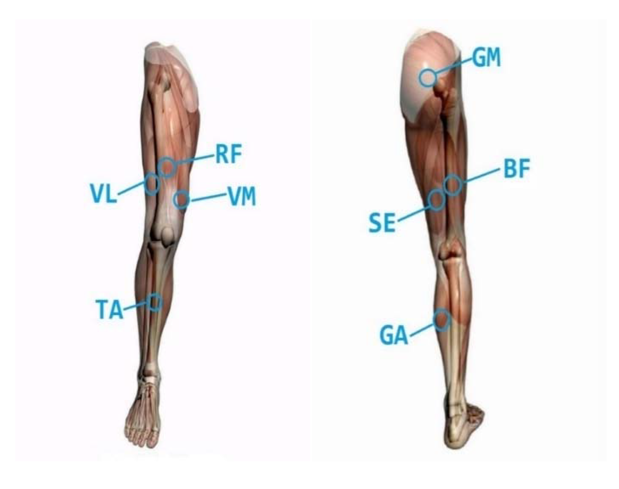 Electronics 09 00556 g003