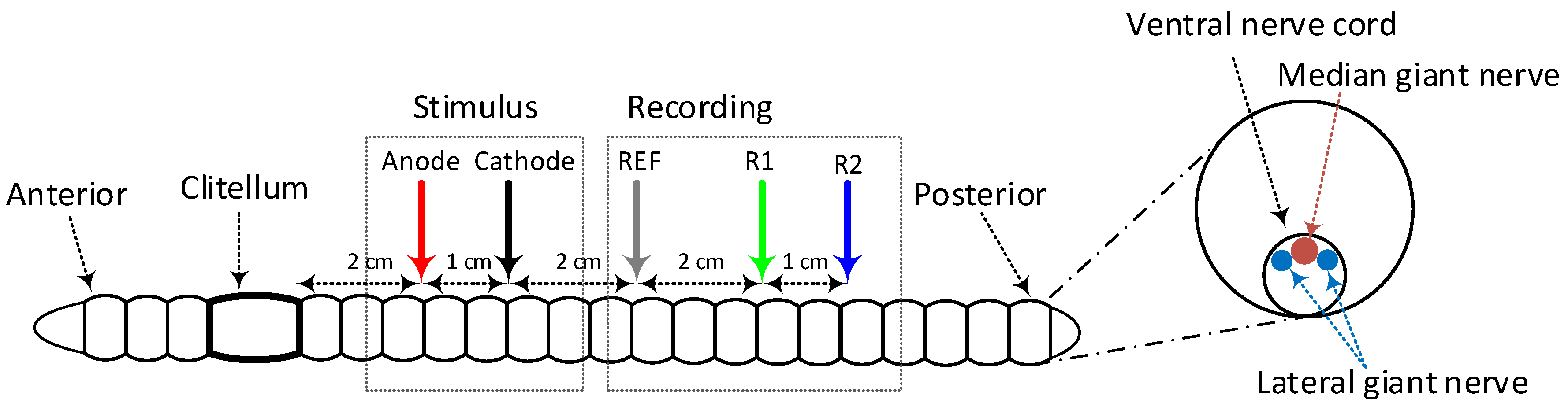 Electronics 09 00812 g012