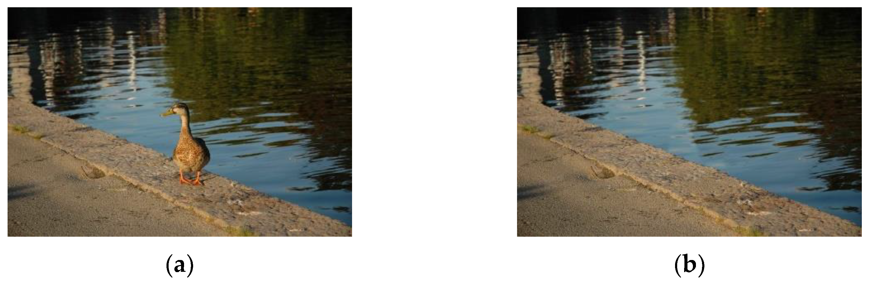 Electronics 09 00858 g001 Electronics 09 00858 g001