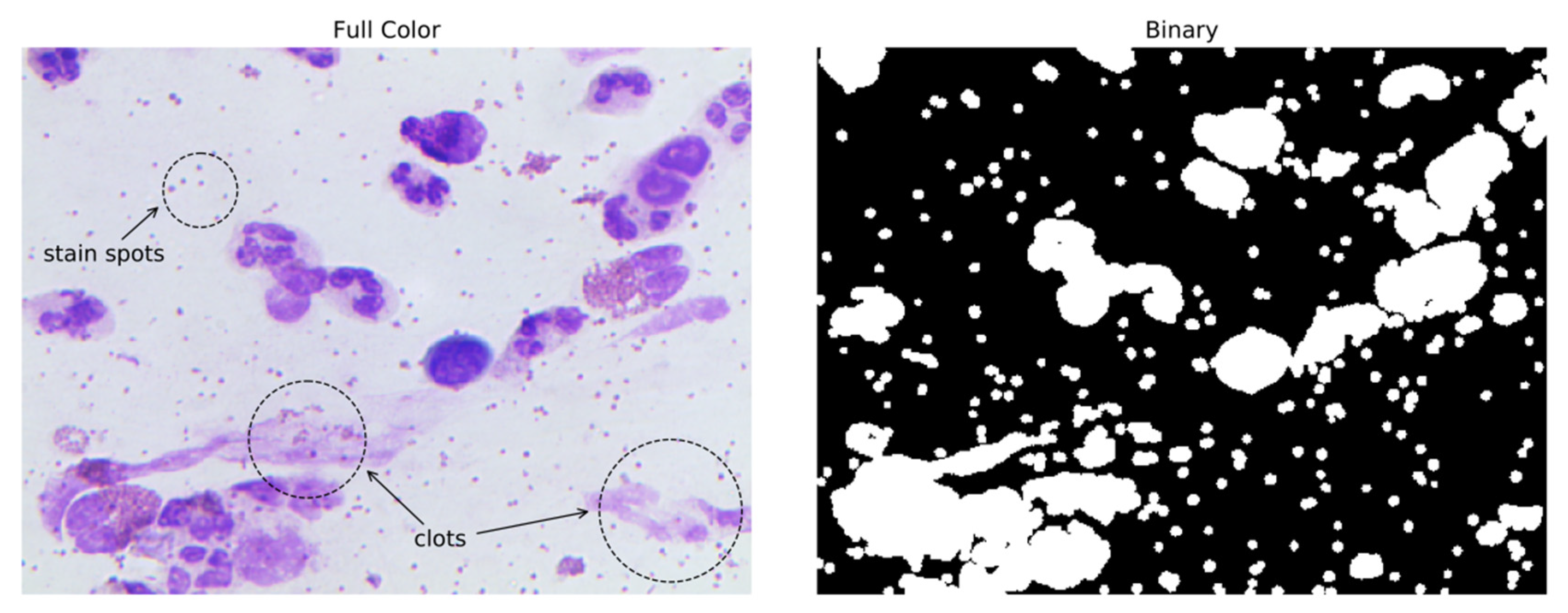Electronics 09 00952 g005