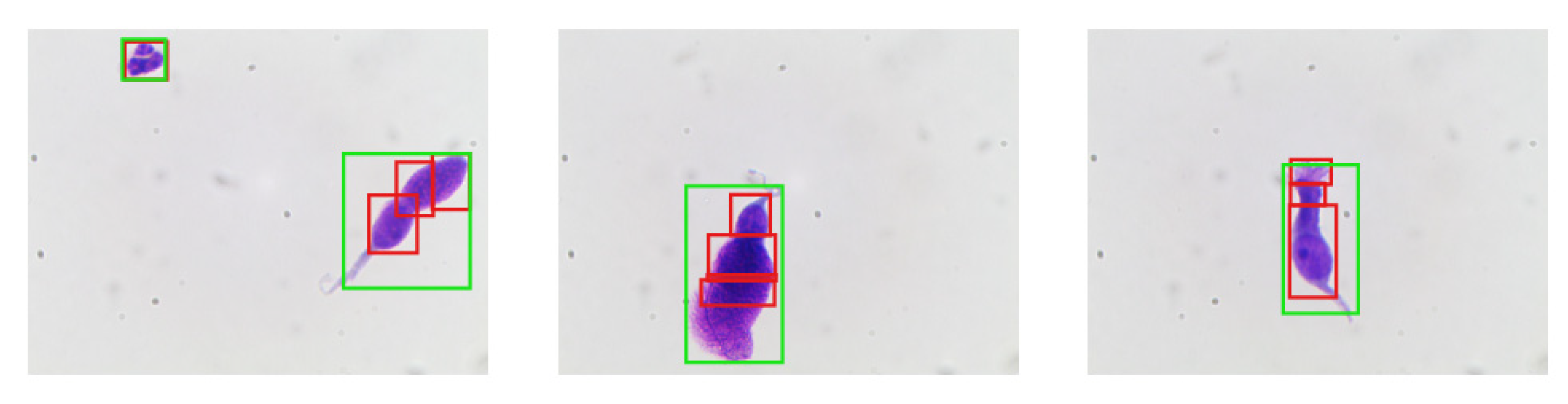 Electronics 09 00952 g007