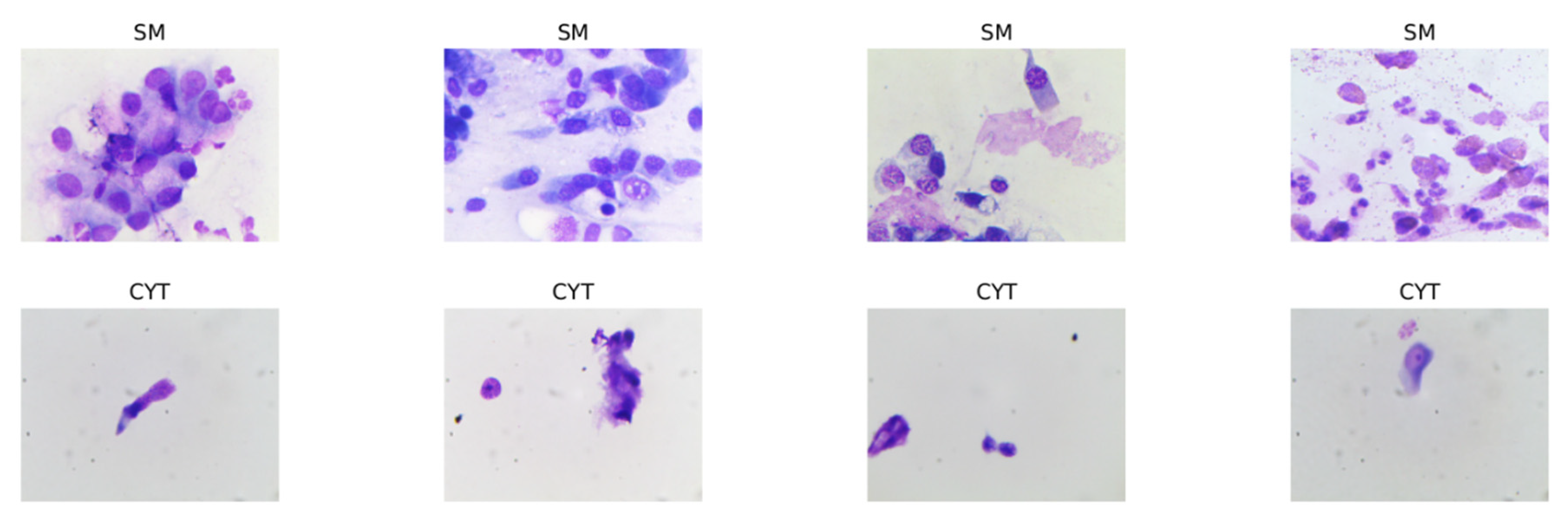 Electronics 09 00952 g013