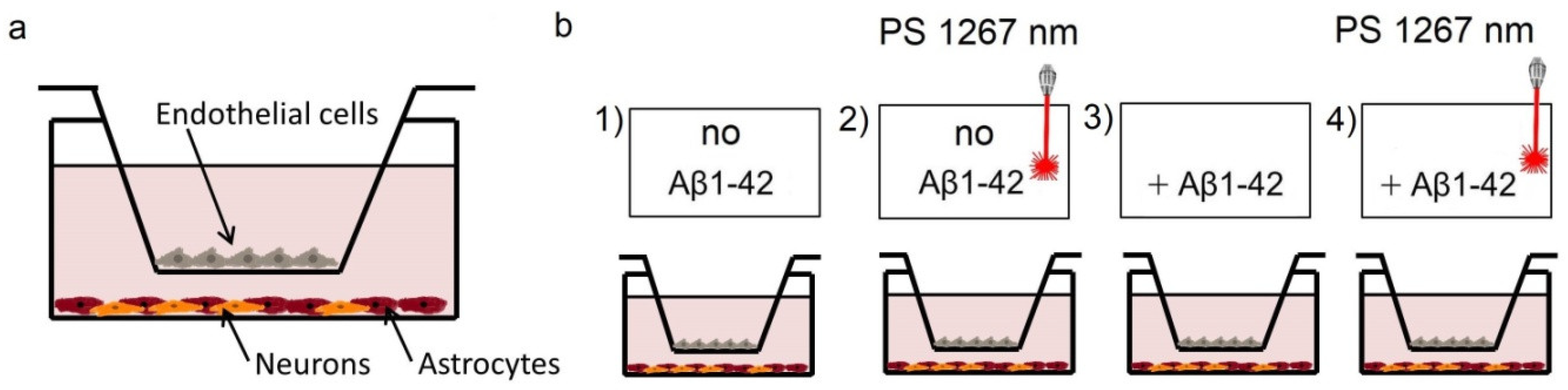Electronics 09 01056 g001