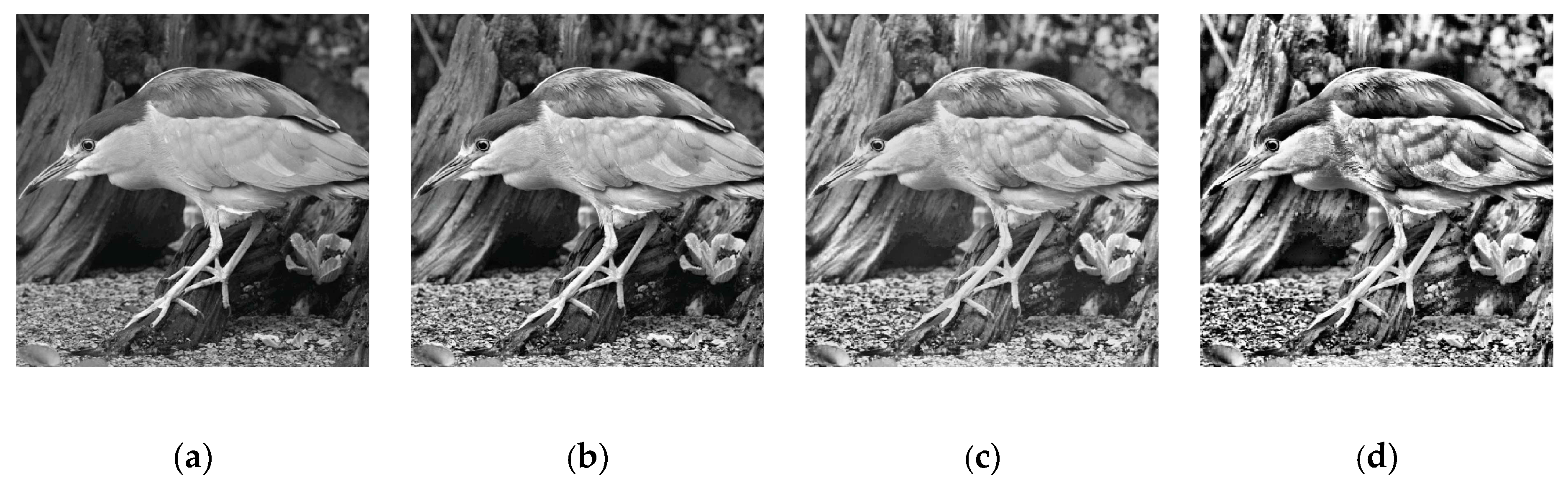Electronics 09 01374 g013