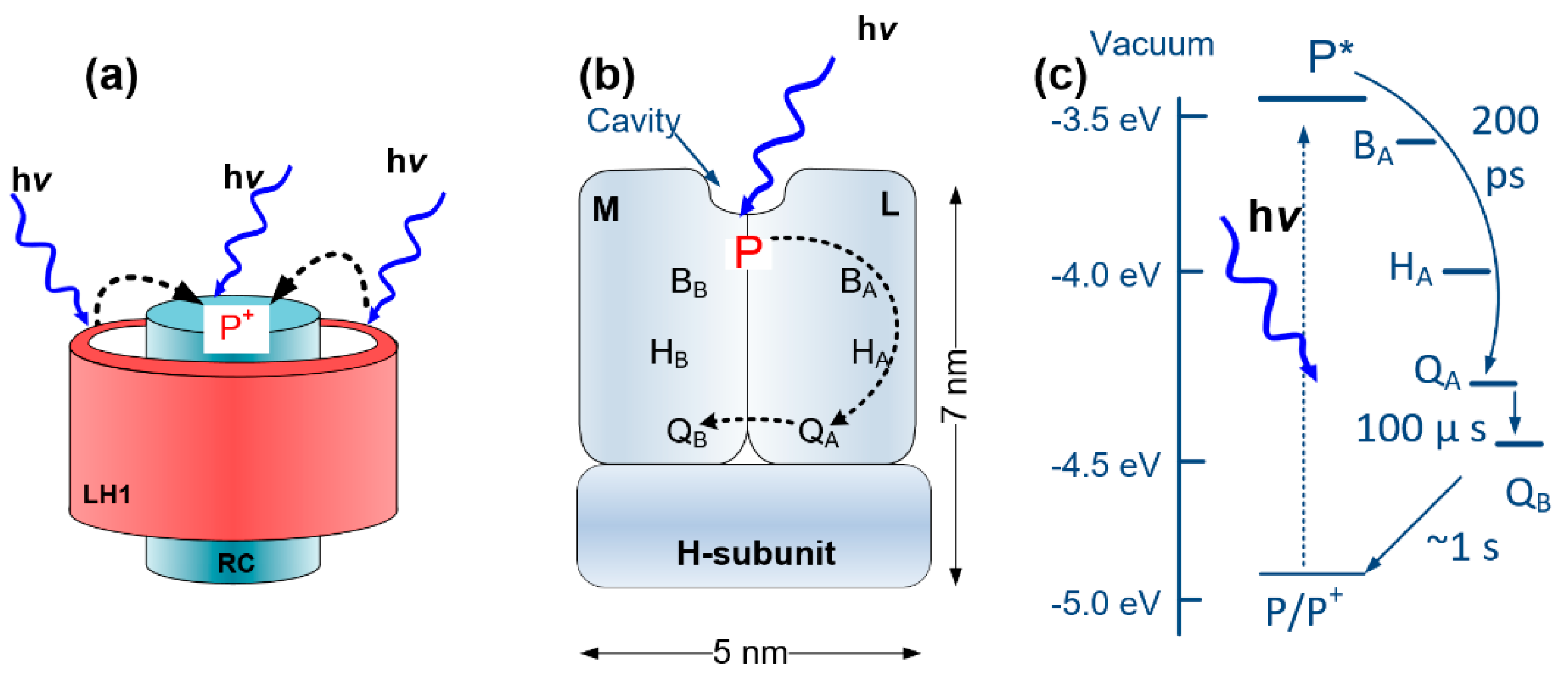 Electronics 09 01709 g001