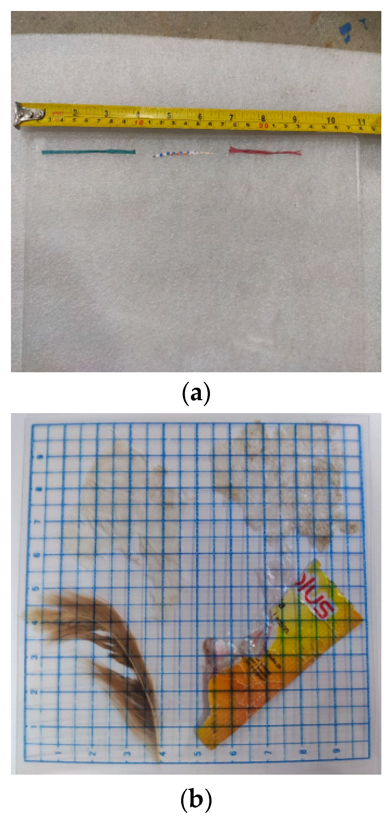 Electronics 09 01795 g015
