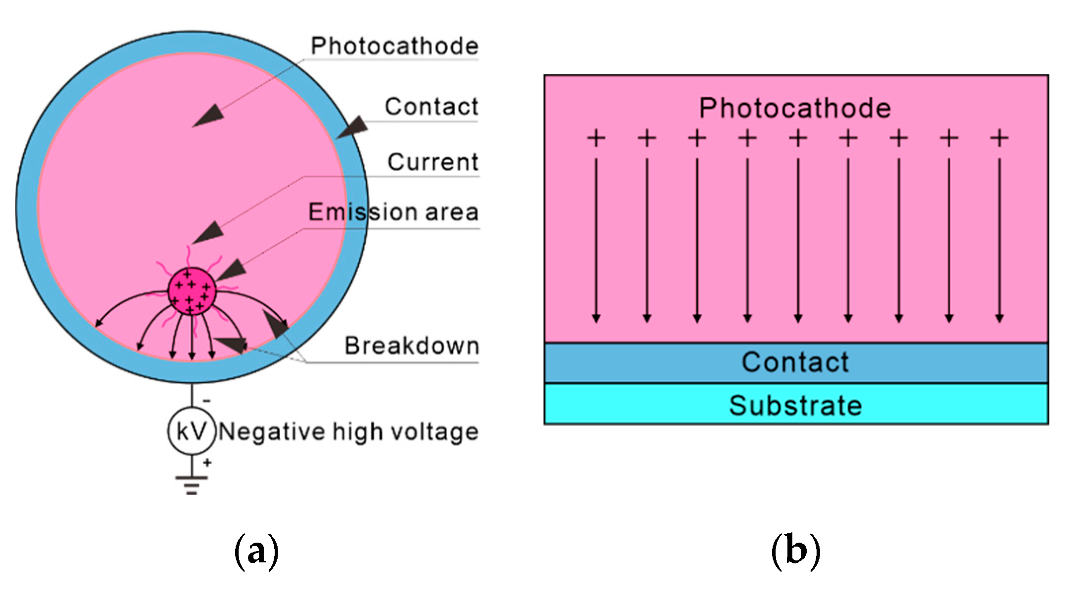 Electronics 09 01991 g005